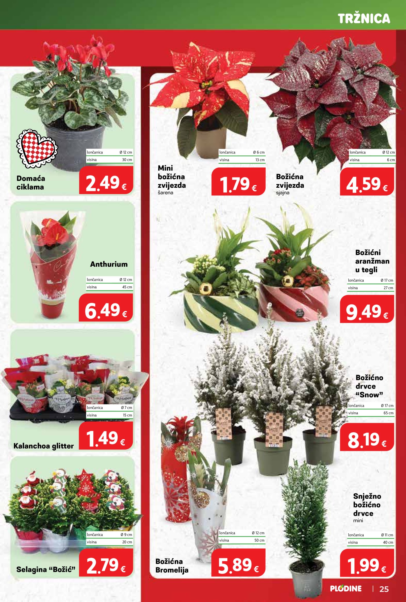 Plodine katalog Akcija 10.12.-16.12.2025.