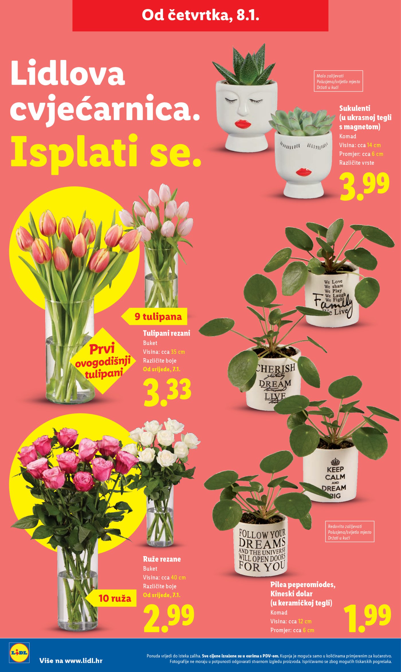 Lidl katalog Super ponuda od Srijede 07.01.-11.01.2025. 