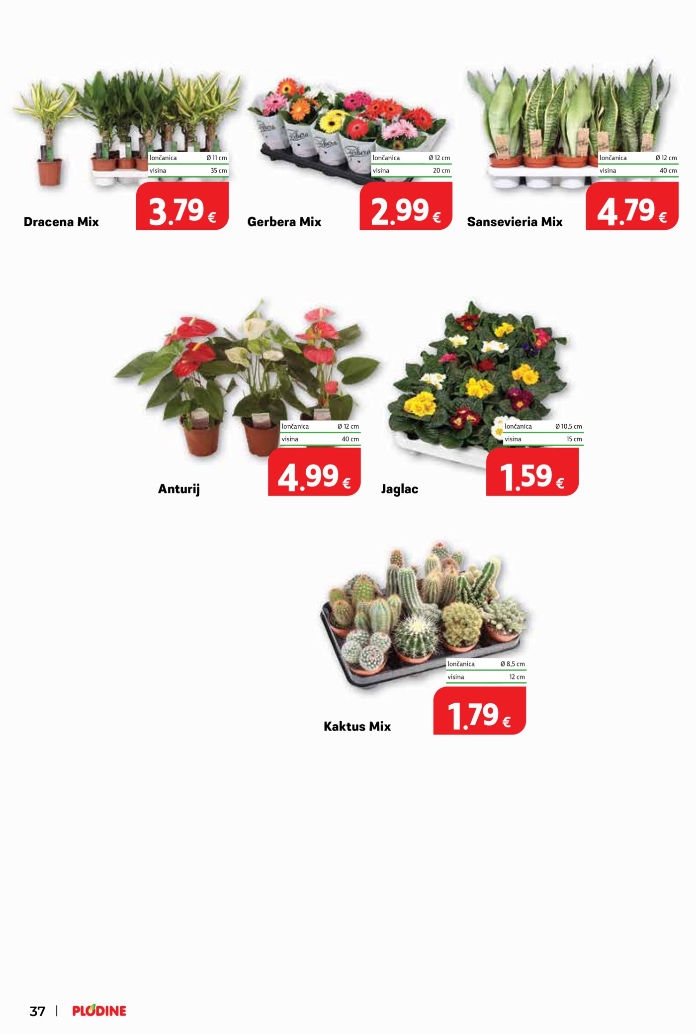 Plodine katalog Akcija 02.01. - 05.01.2026.