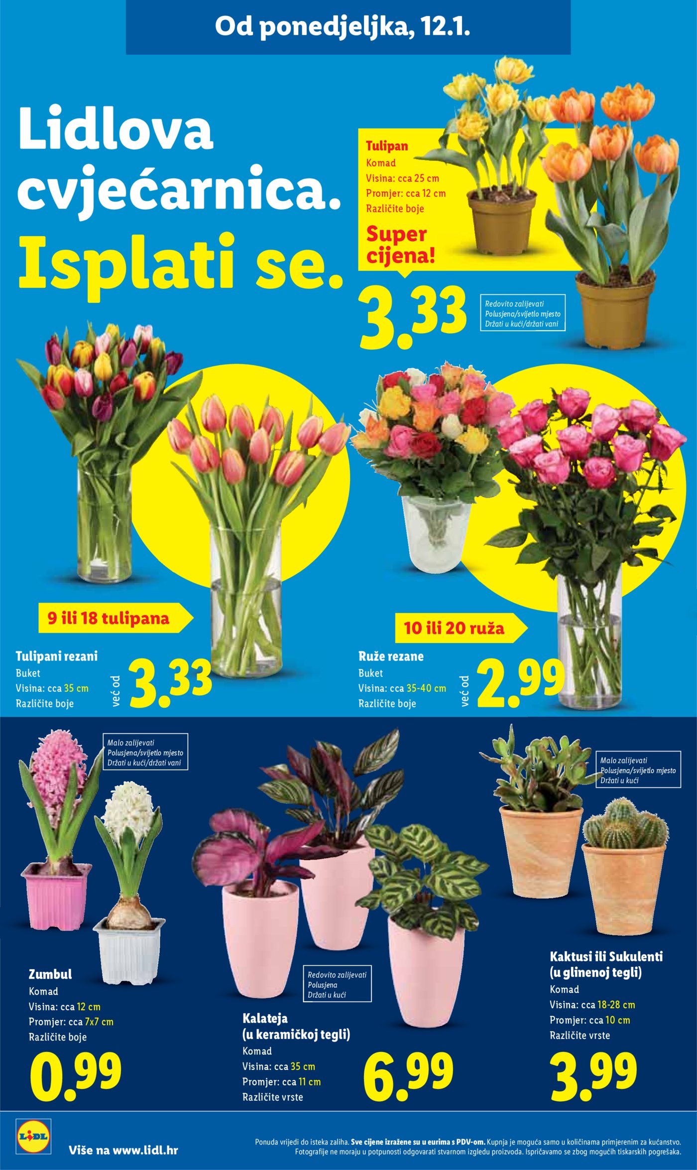 Lidl Super ponuda od ponedjeljka 12.01.-18.01.2026.
