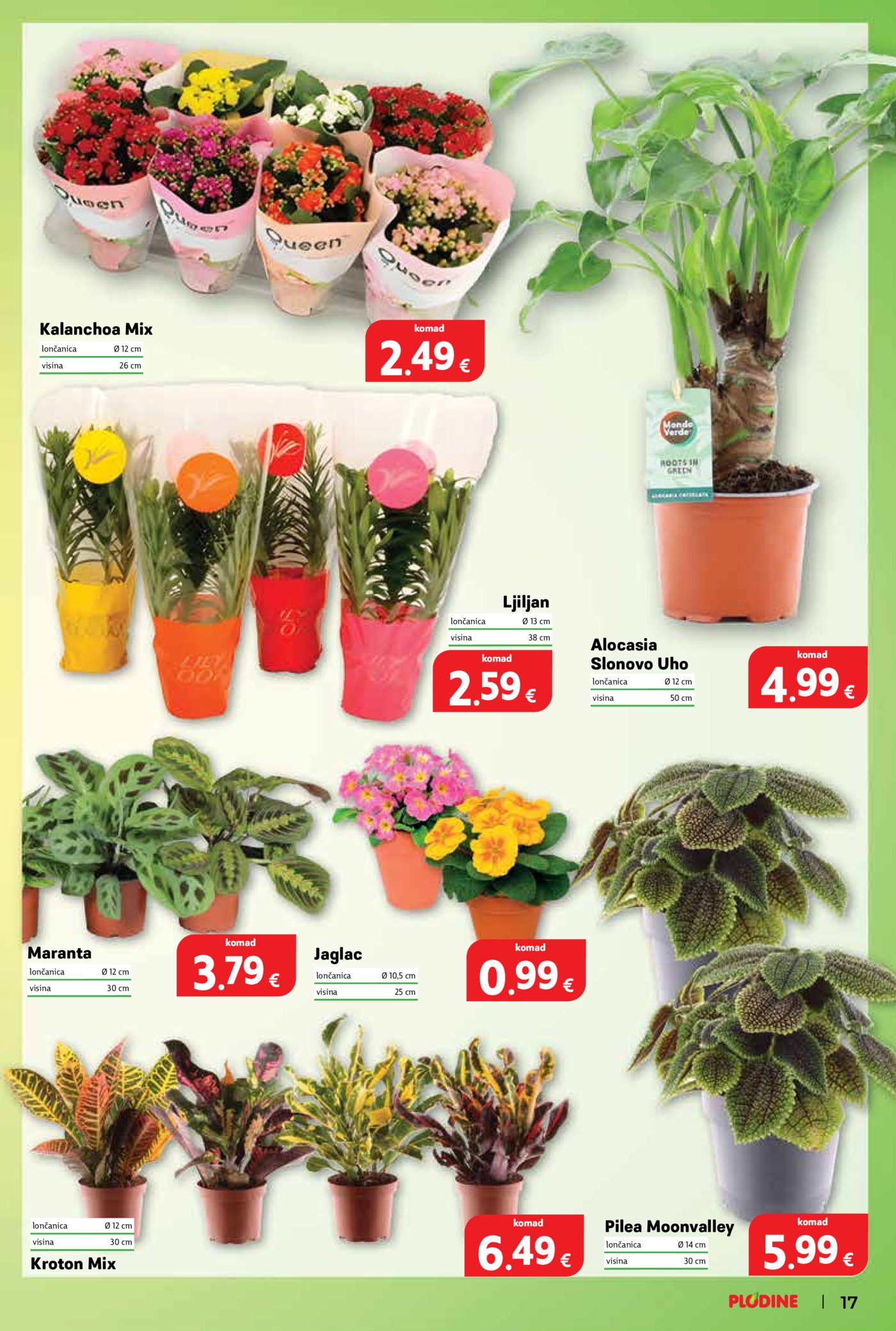 Plodine katalog Akcija 07.01. - 13.01.2026.