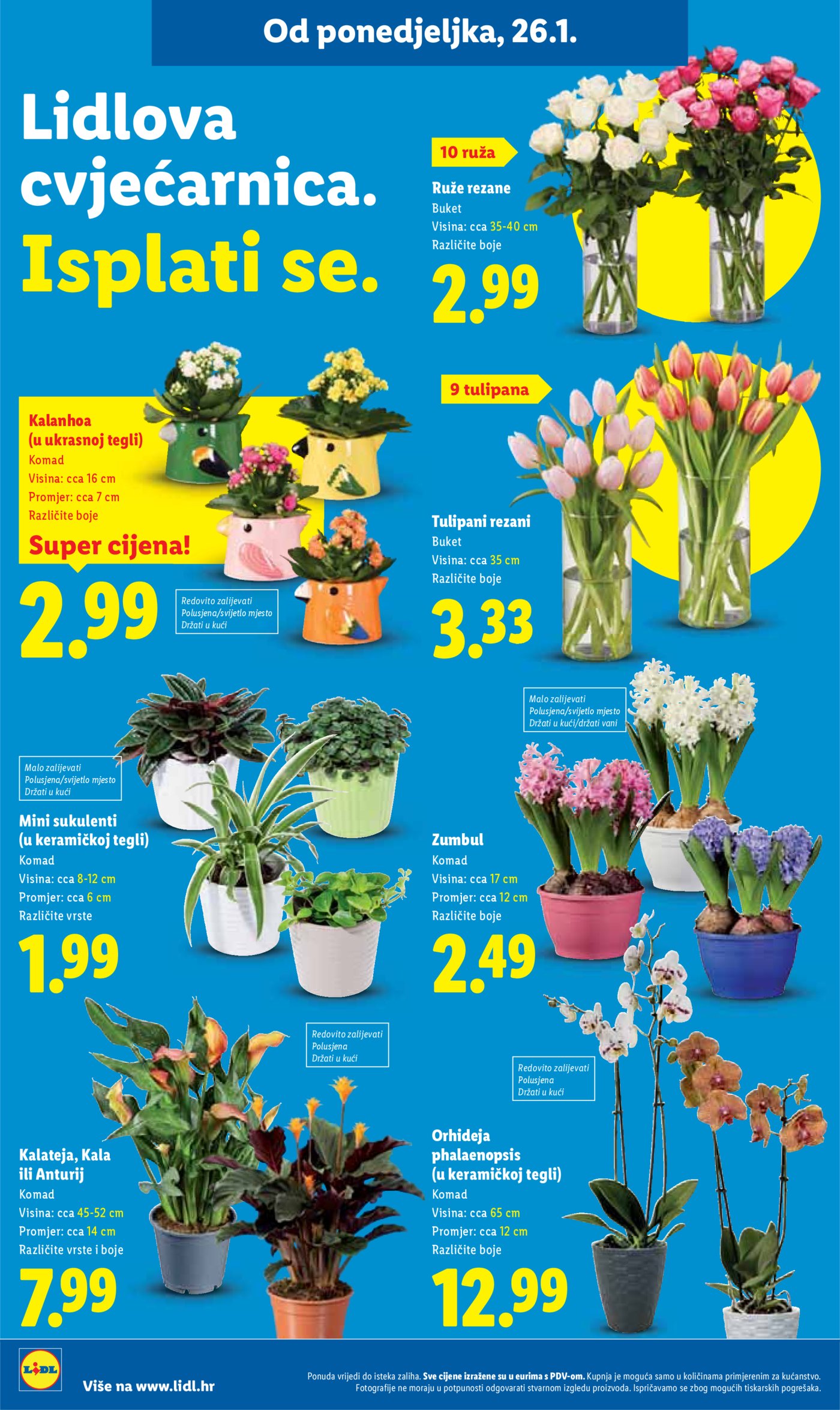Lidl katalog Super ponuda od ponedjeljka 26.01. - 01.02.2026.