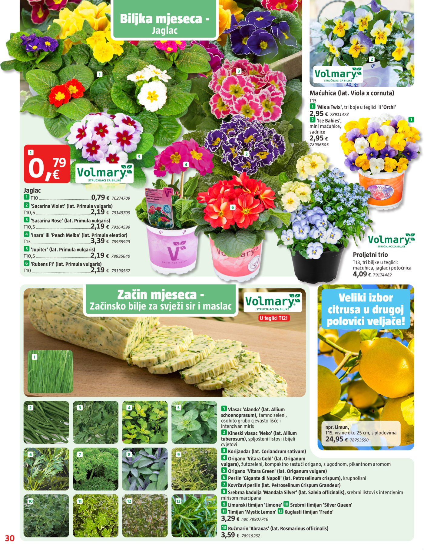 Bauhaus katalog Akcija 29.01.-04.03.2026.