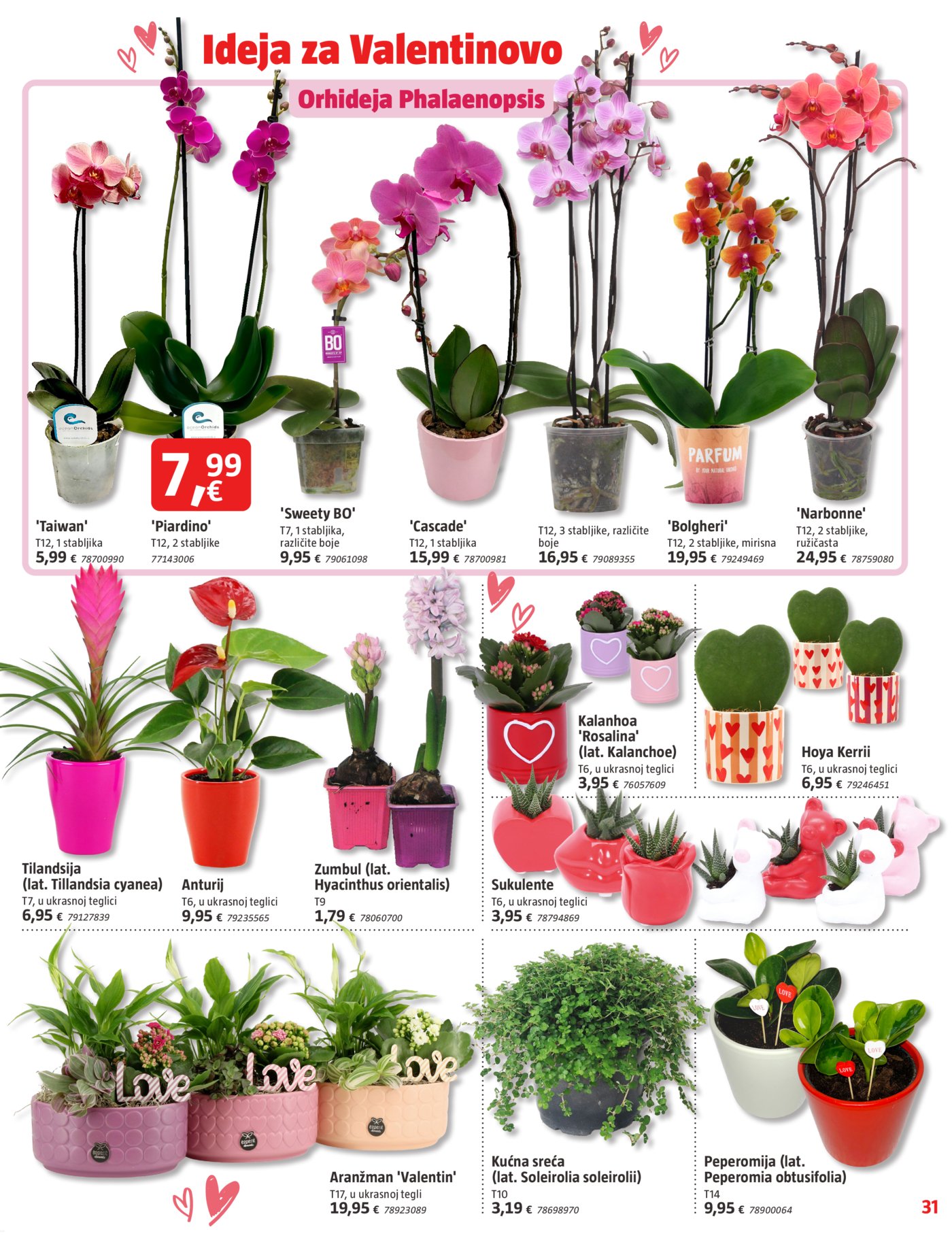 Bauhaus katalog Akcija 29.01.-04.03.2026.