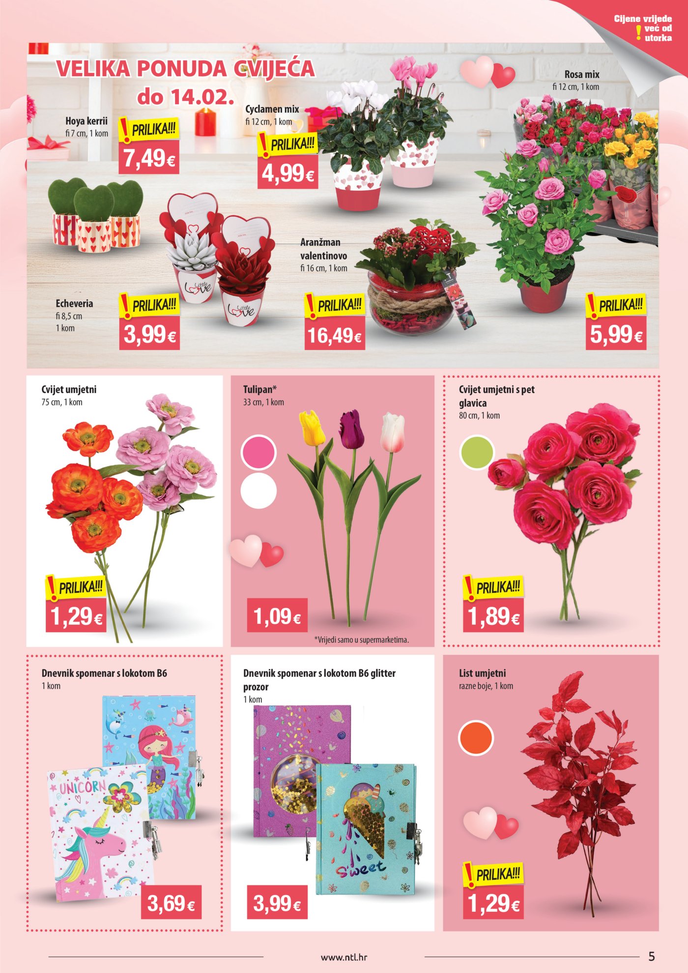 NTL katalog Akcija 11.02.-17.02.2026. Sjever