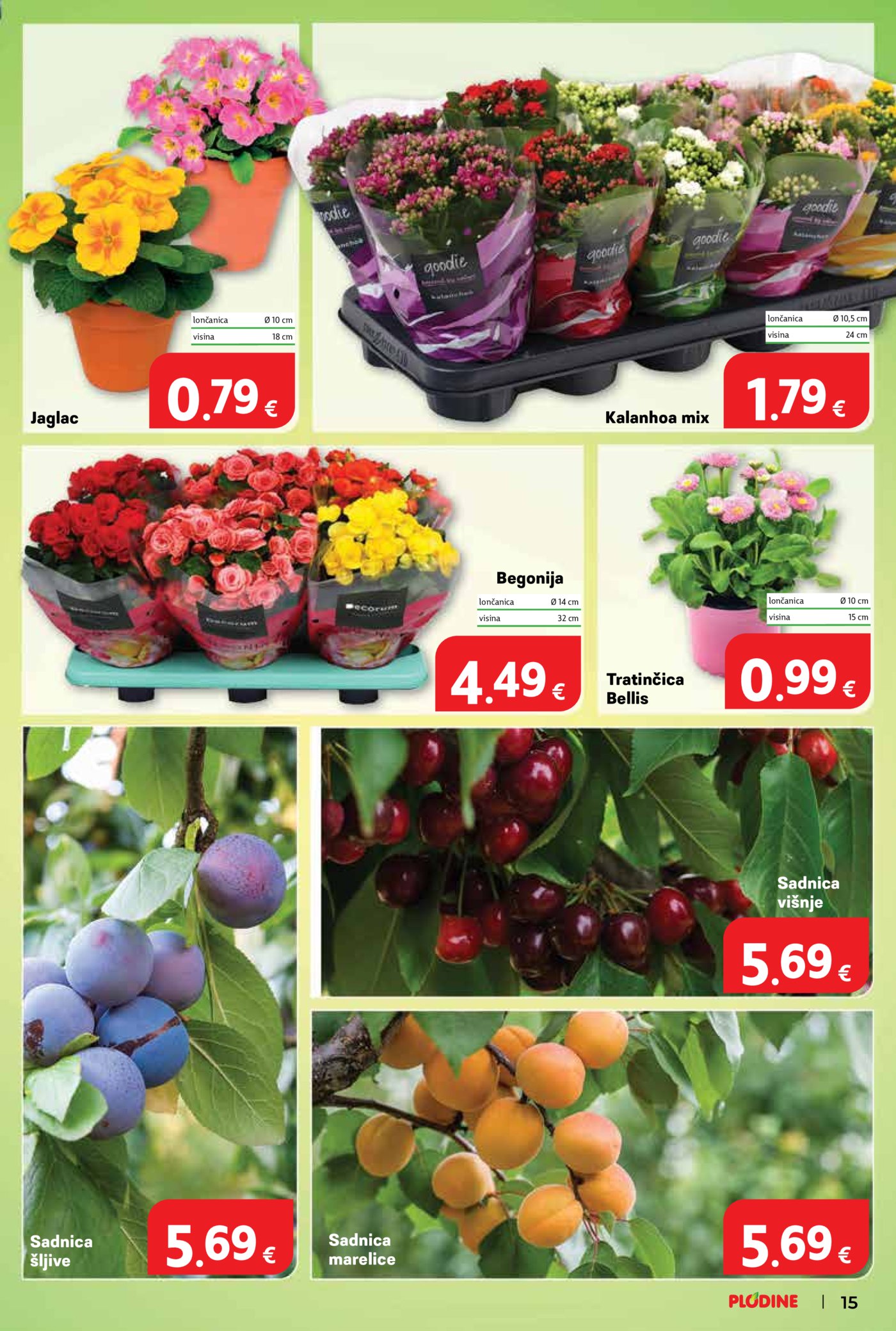 Plodine katalog Akcija 04.02.-10.02. 2026.