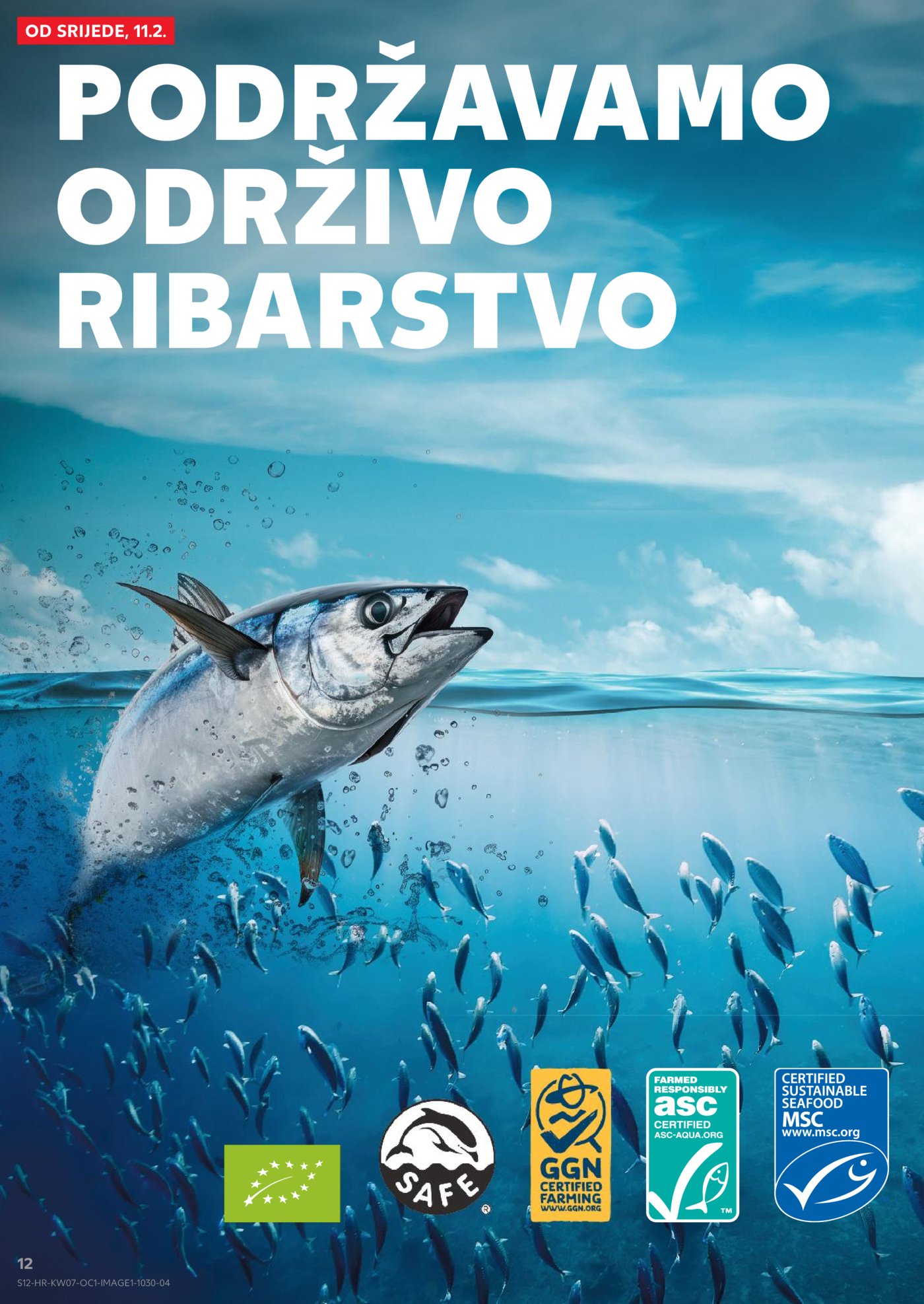 Kaufland Tematski katalog 11.02.-17.02.2026.