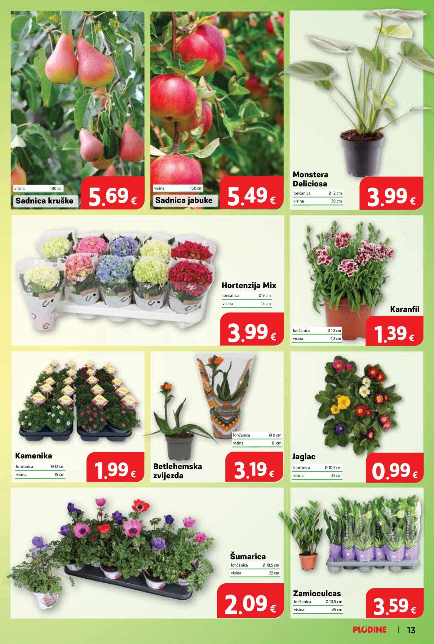 Plodine katalog Akcija 18.02.-24.02.2026.