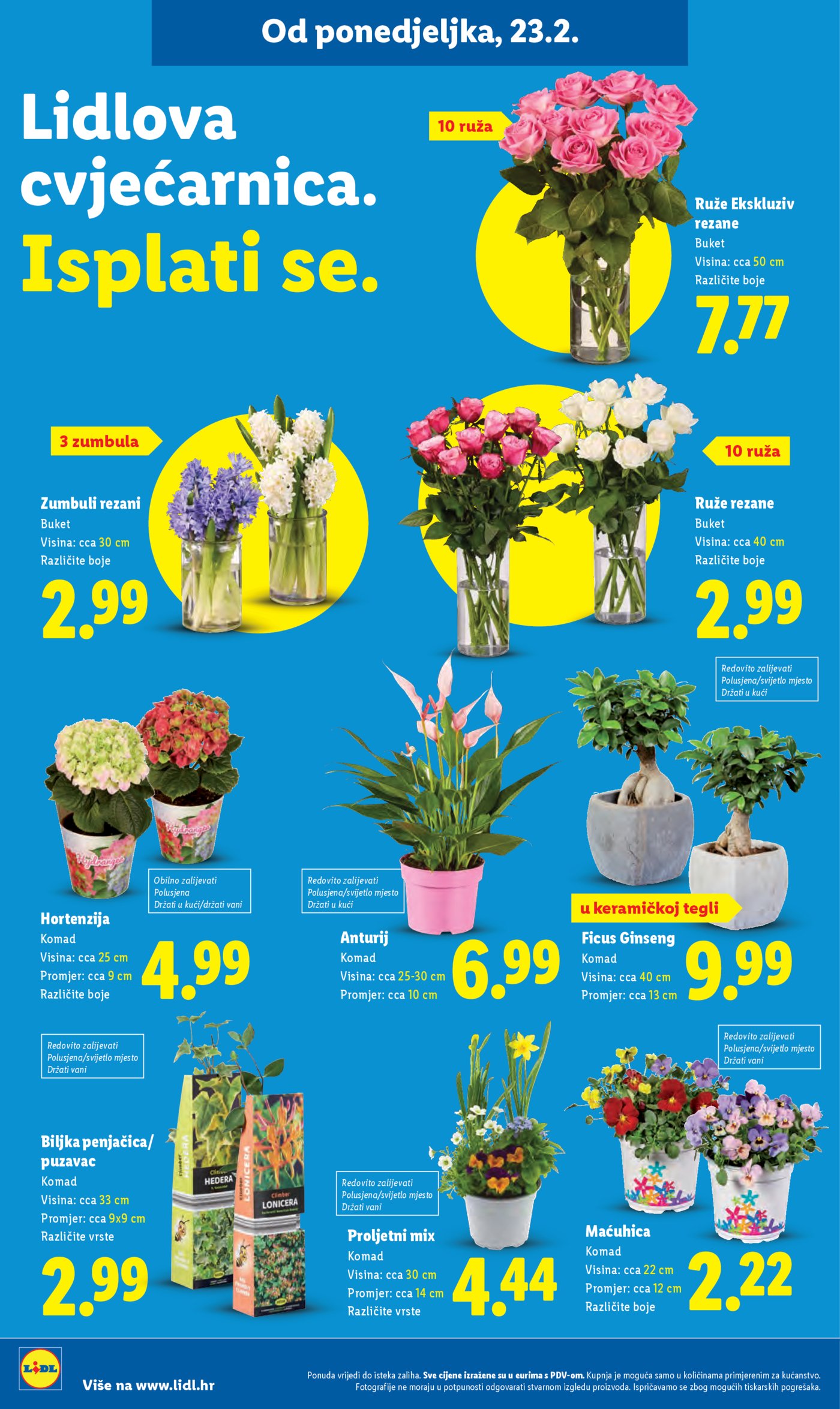 Lidl Super ponuda od ponedjeljka 23.02.-01.03.2026.