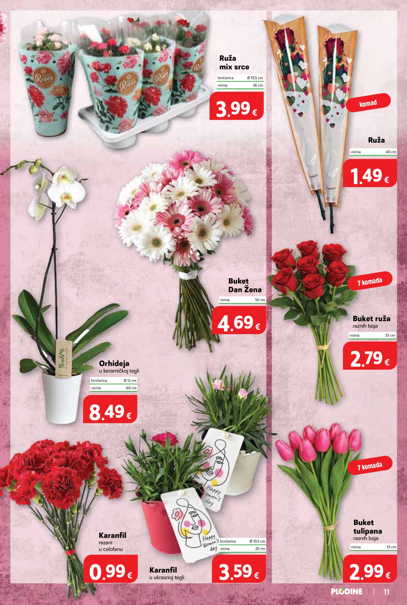 Plodine katalog Akcija 04.03. - 10.03.2026.