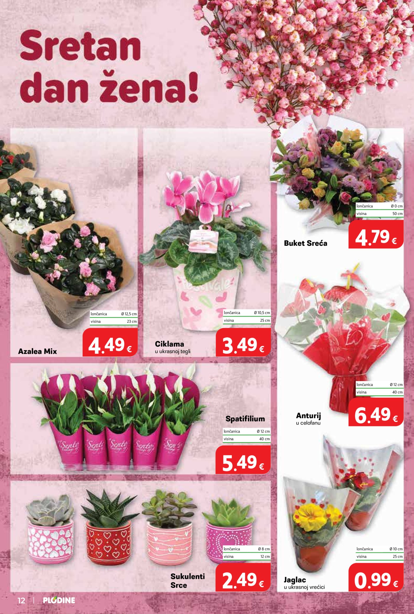 Plodine katalog Akcija 04.03. - 10.03.2026.