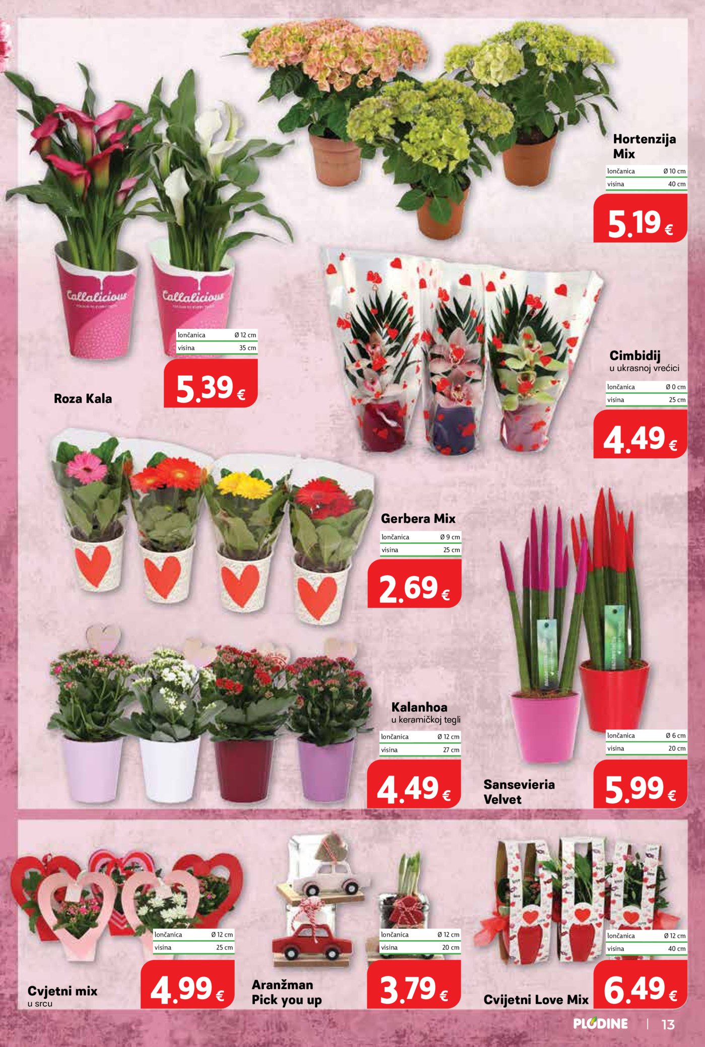 Plodine katalog Akcija 04.03. - 10.03.2026.