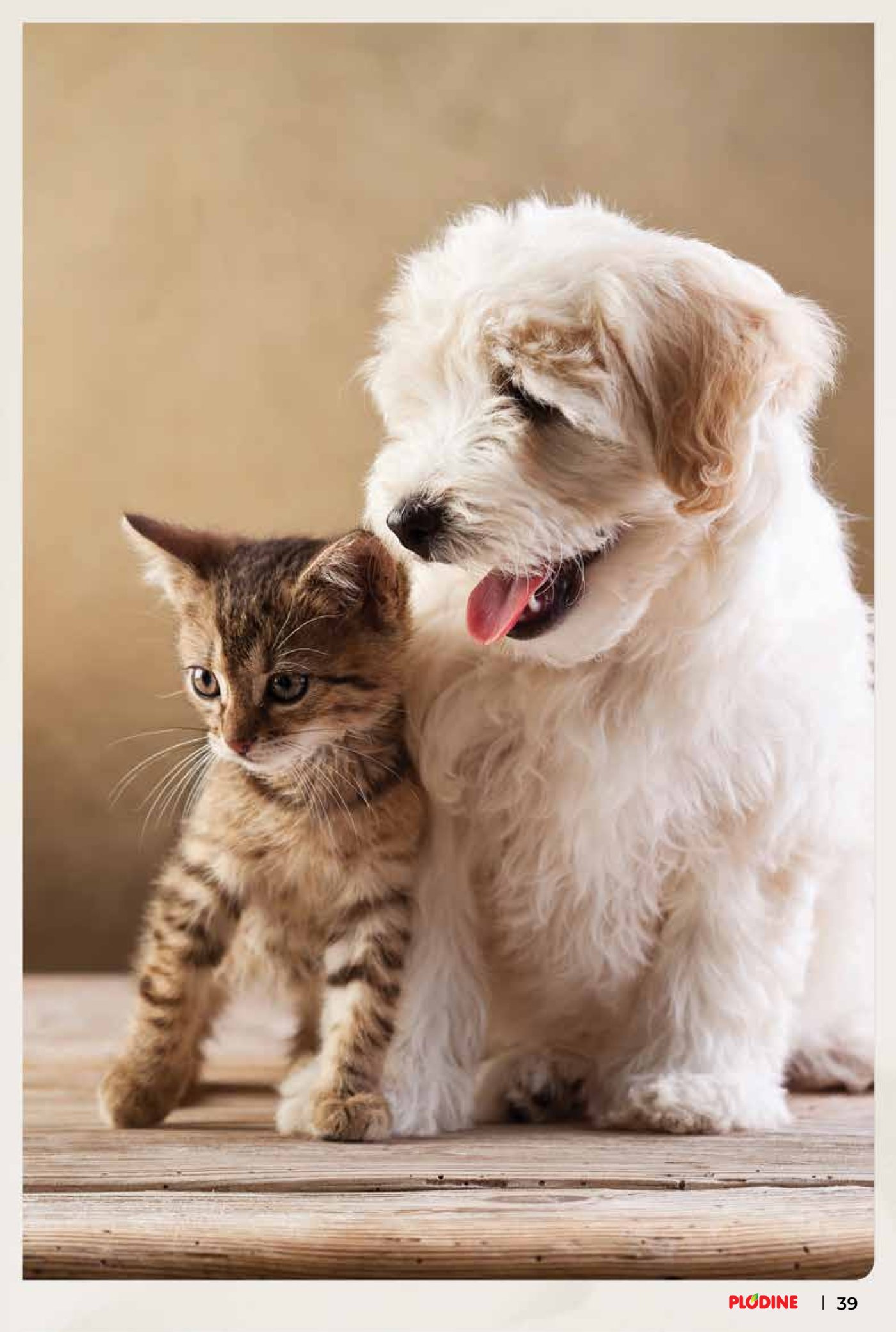 Plodine katalog Akcija 04.03. - 10.03.2026.