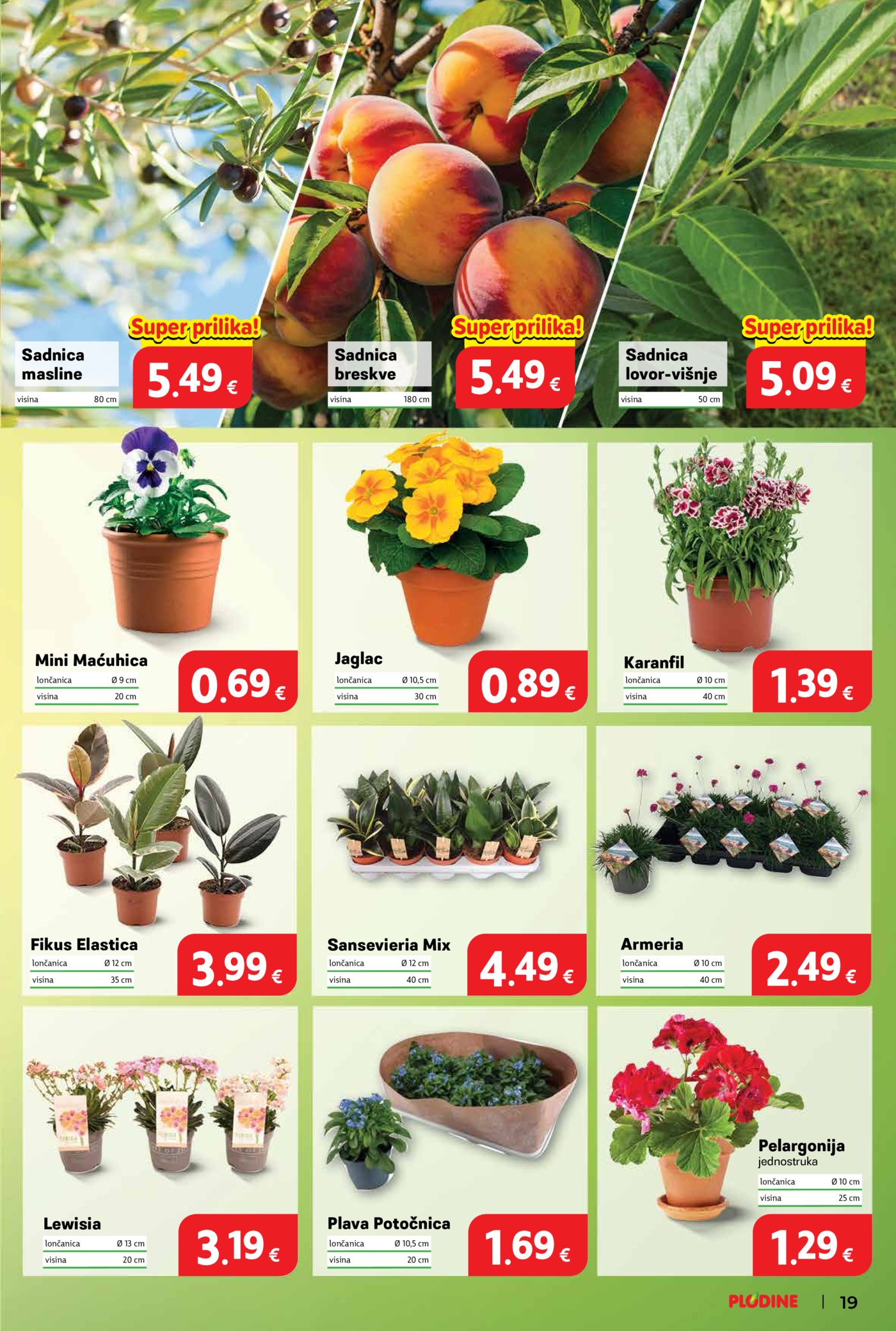 Plodine katalog Akcija 11.03.-17.03.2026.