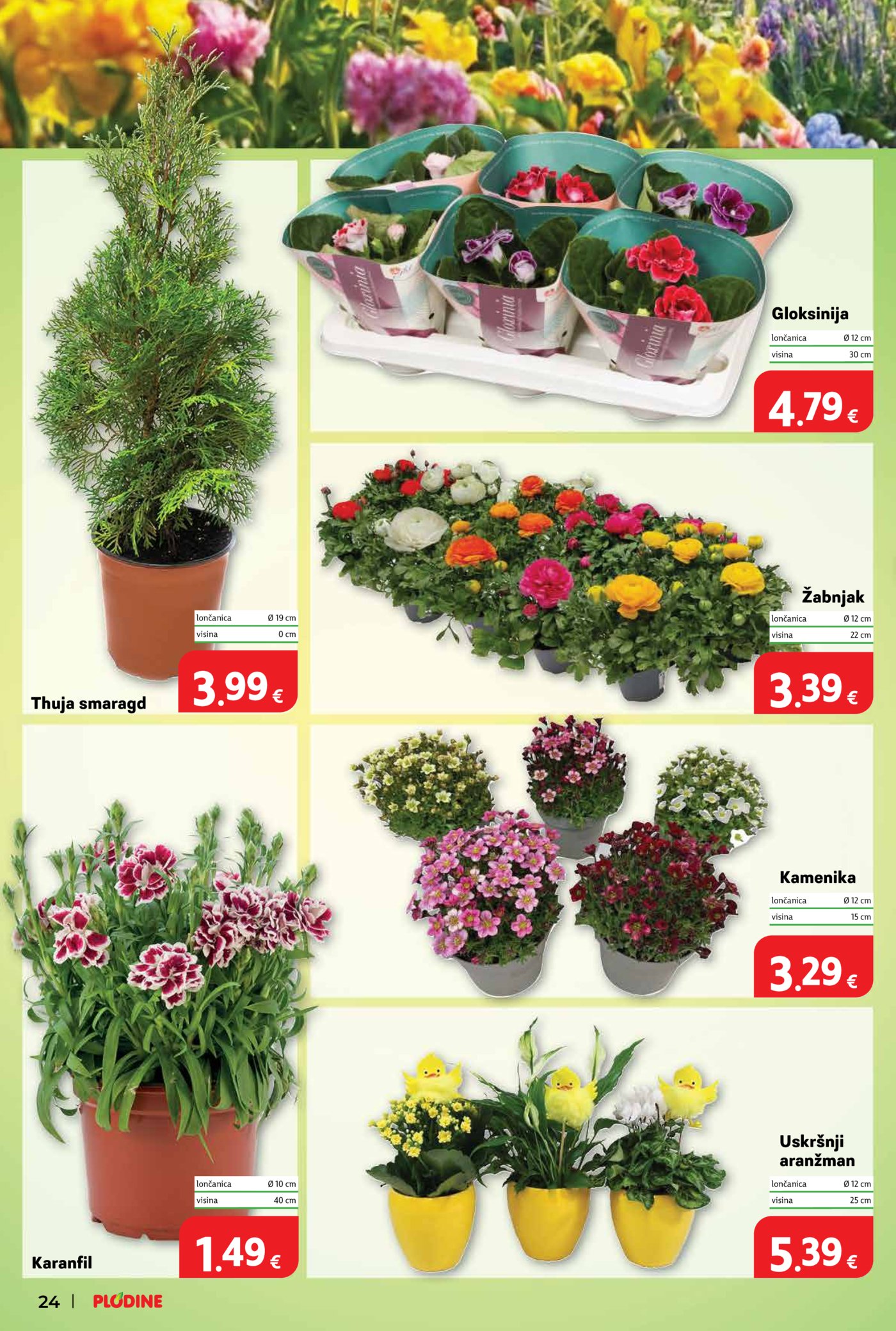 Plodine katalog Akcija 01.04. - 07.04.2026.