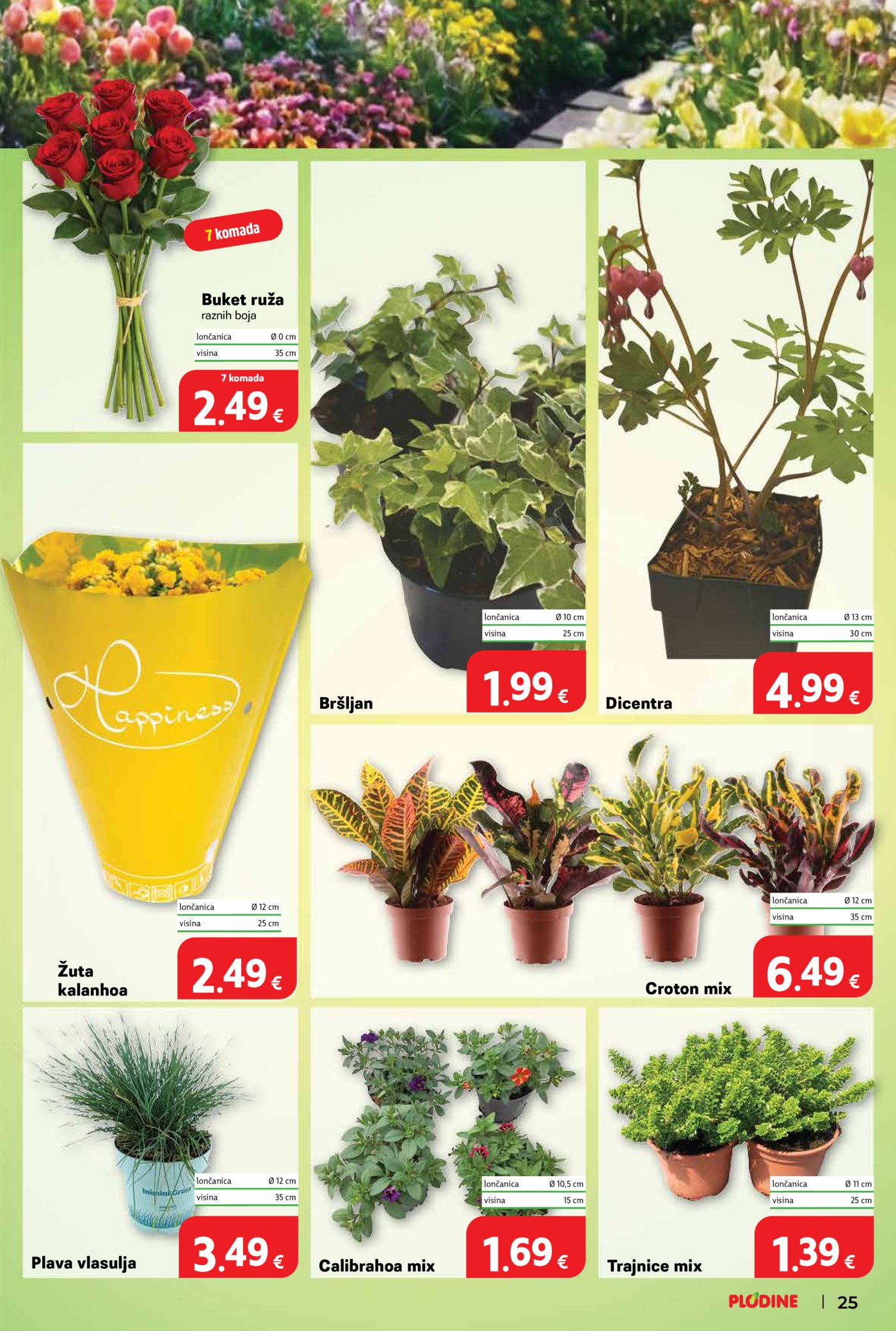 Plodine katalog Akcija 01.04. - 07.04.2026.