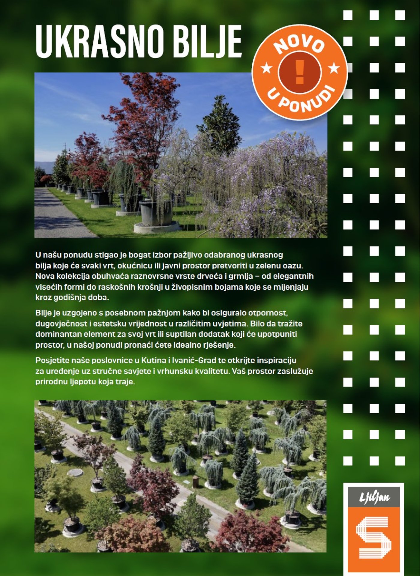 Ljiljan S katalog proizvoda 01.04.-25.04.2026.