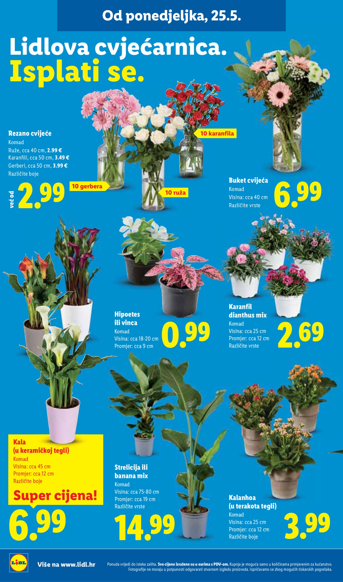 Lidl katalog Super ponuda od ponedjeljka 25.05. - 31.05.2026.