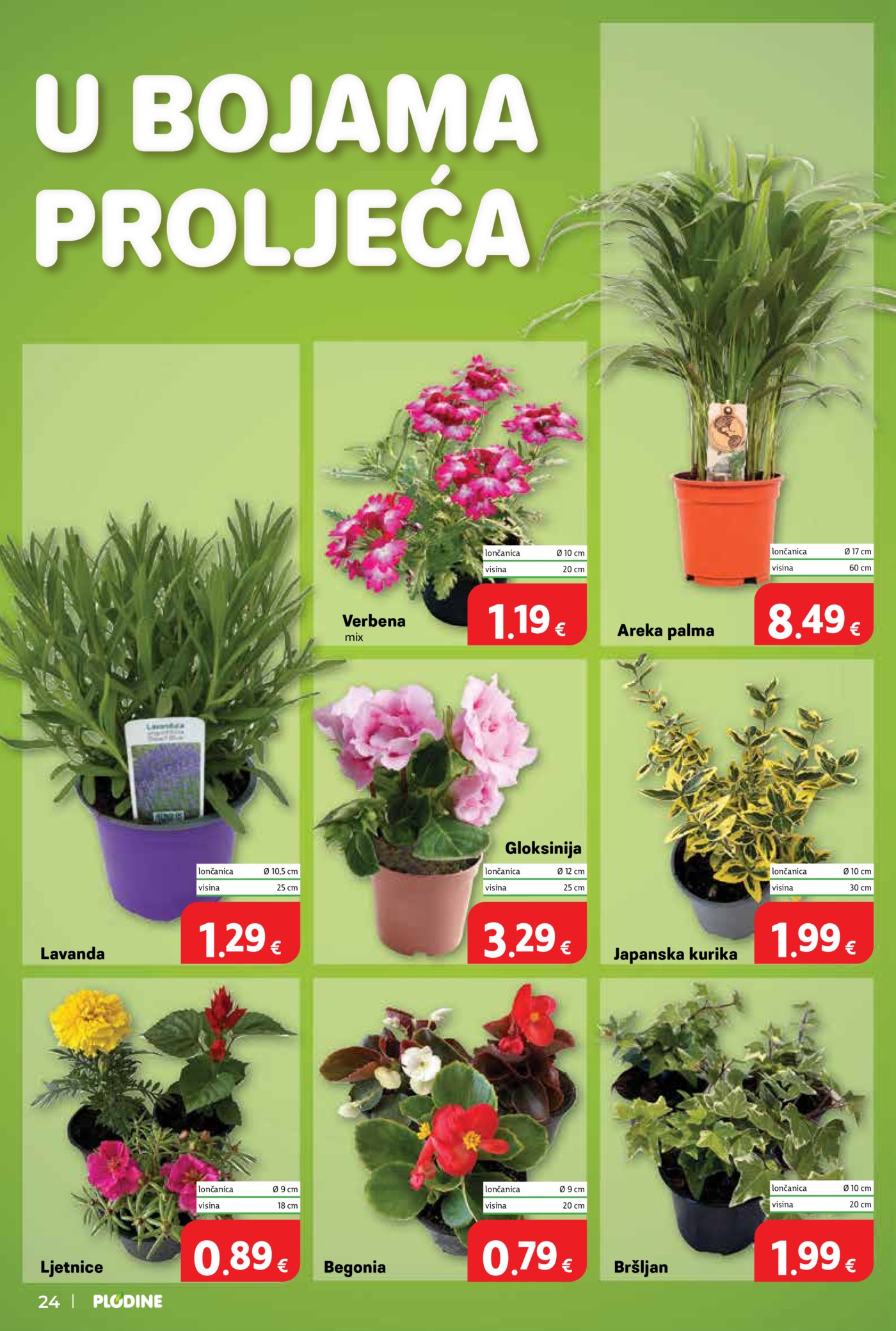 Plodine katalog Akcija 13.05.-19.05.2026.