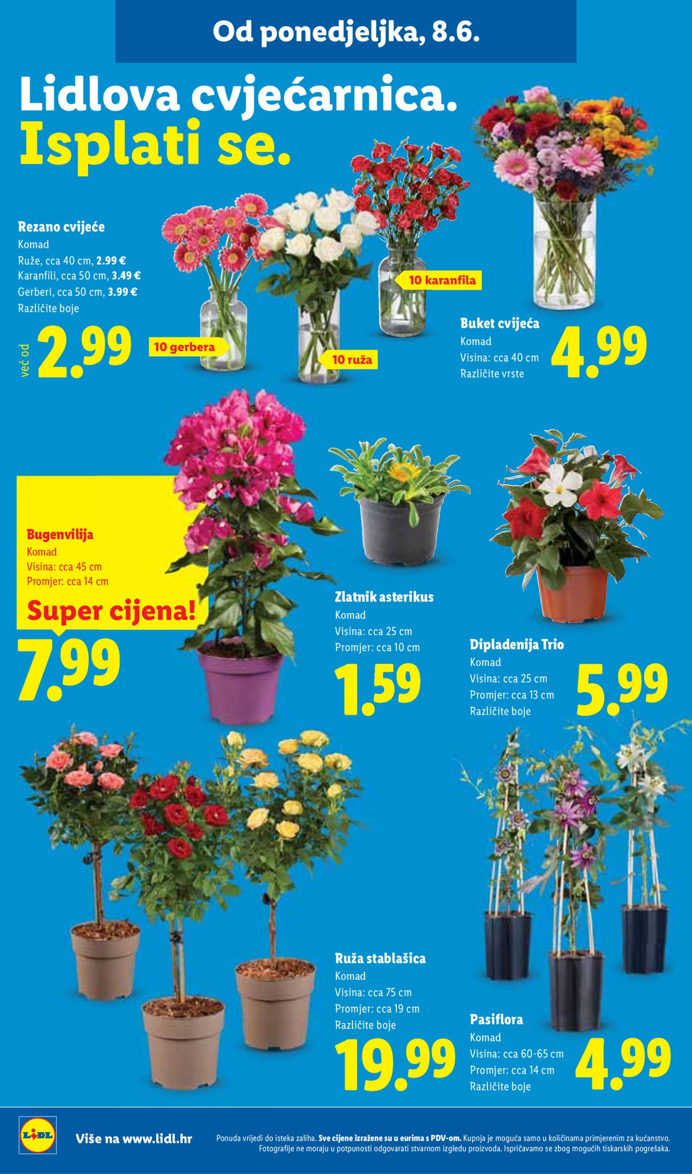 Lidl katalog Super ponuda od ponedjeljka 08.06.-14.06.2026.