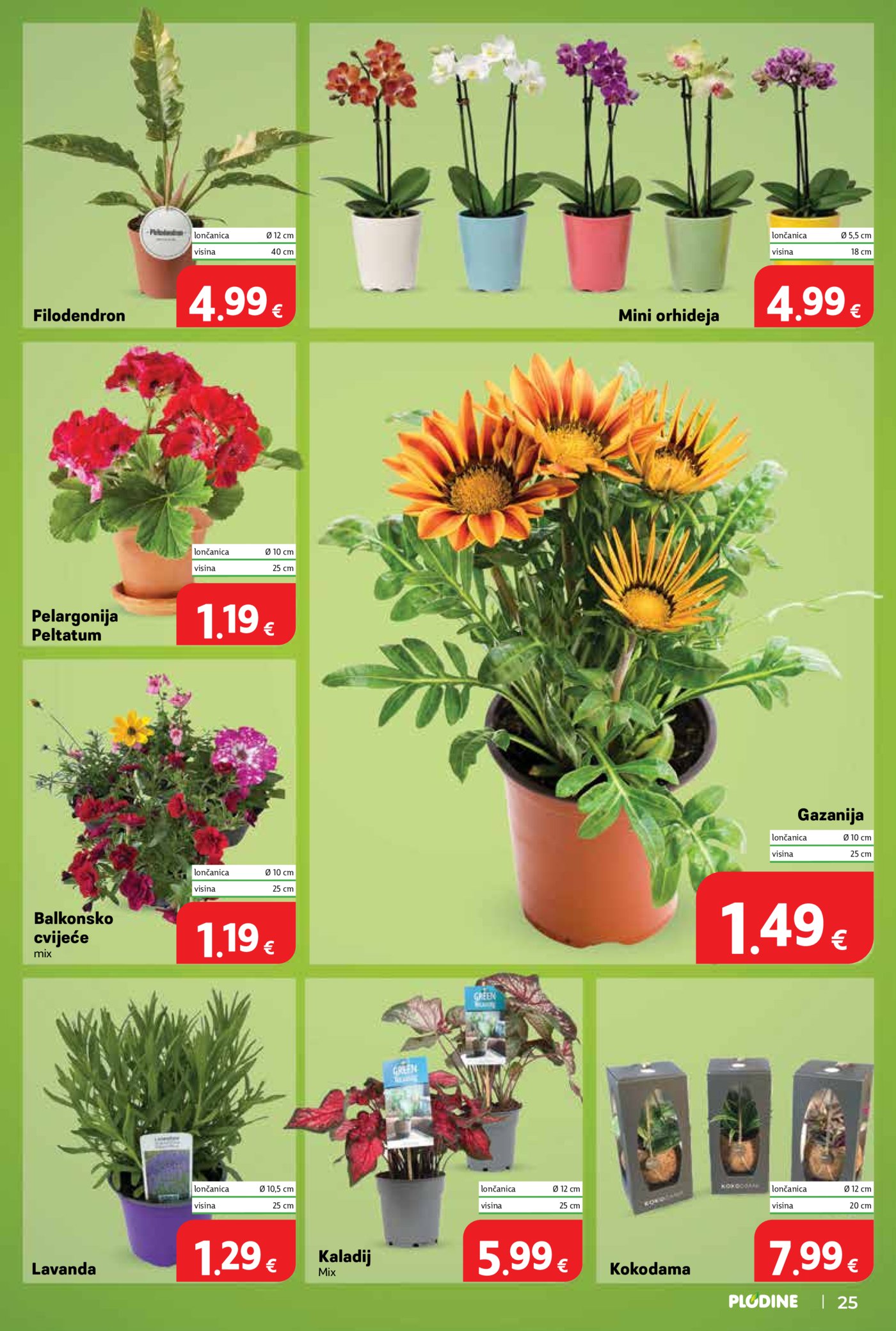 Plodine katalog Akcija 03.06. - 09.06.2026.