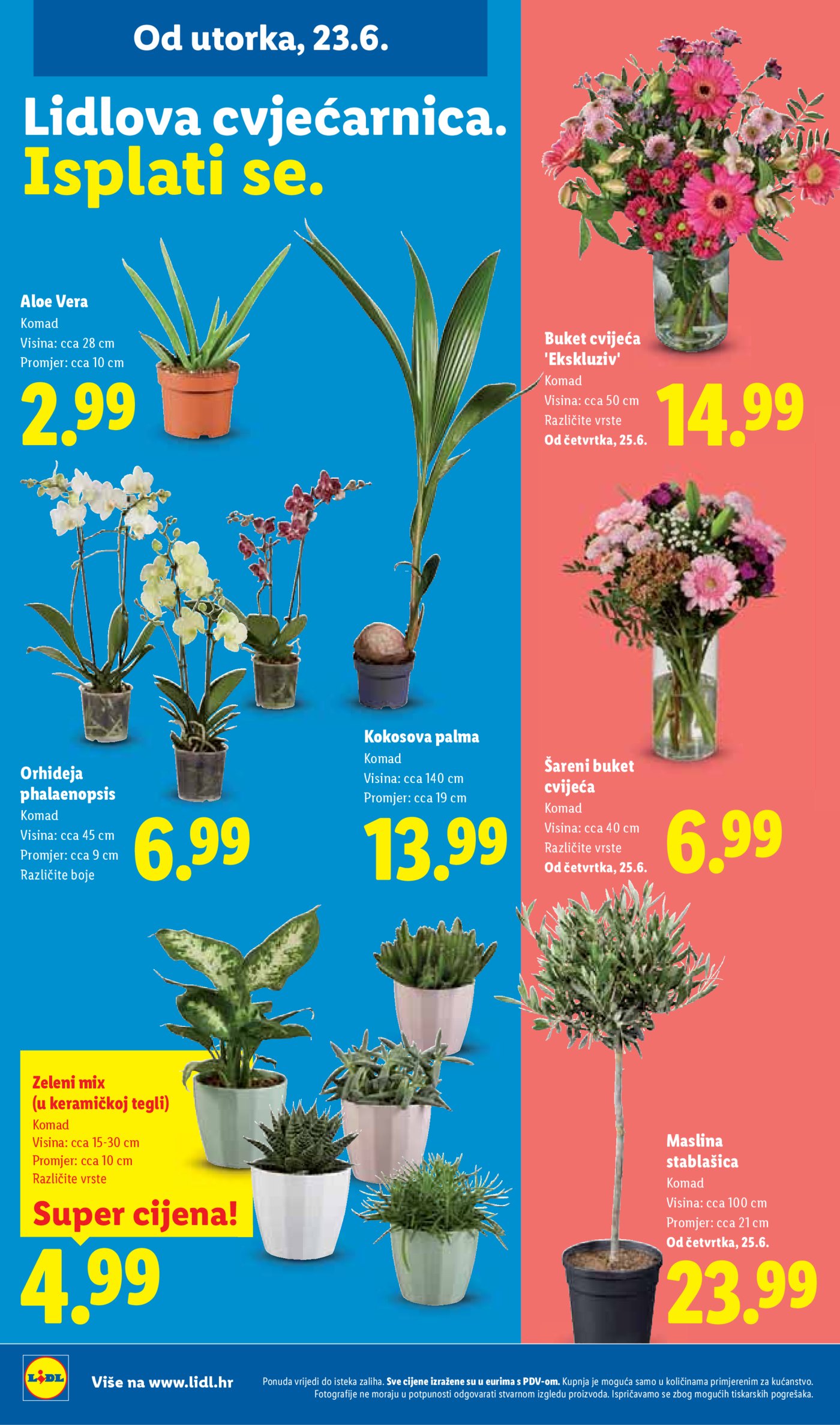 Lidl katalog Super ponuda od utorka 23.06. - 28.06.2026.