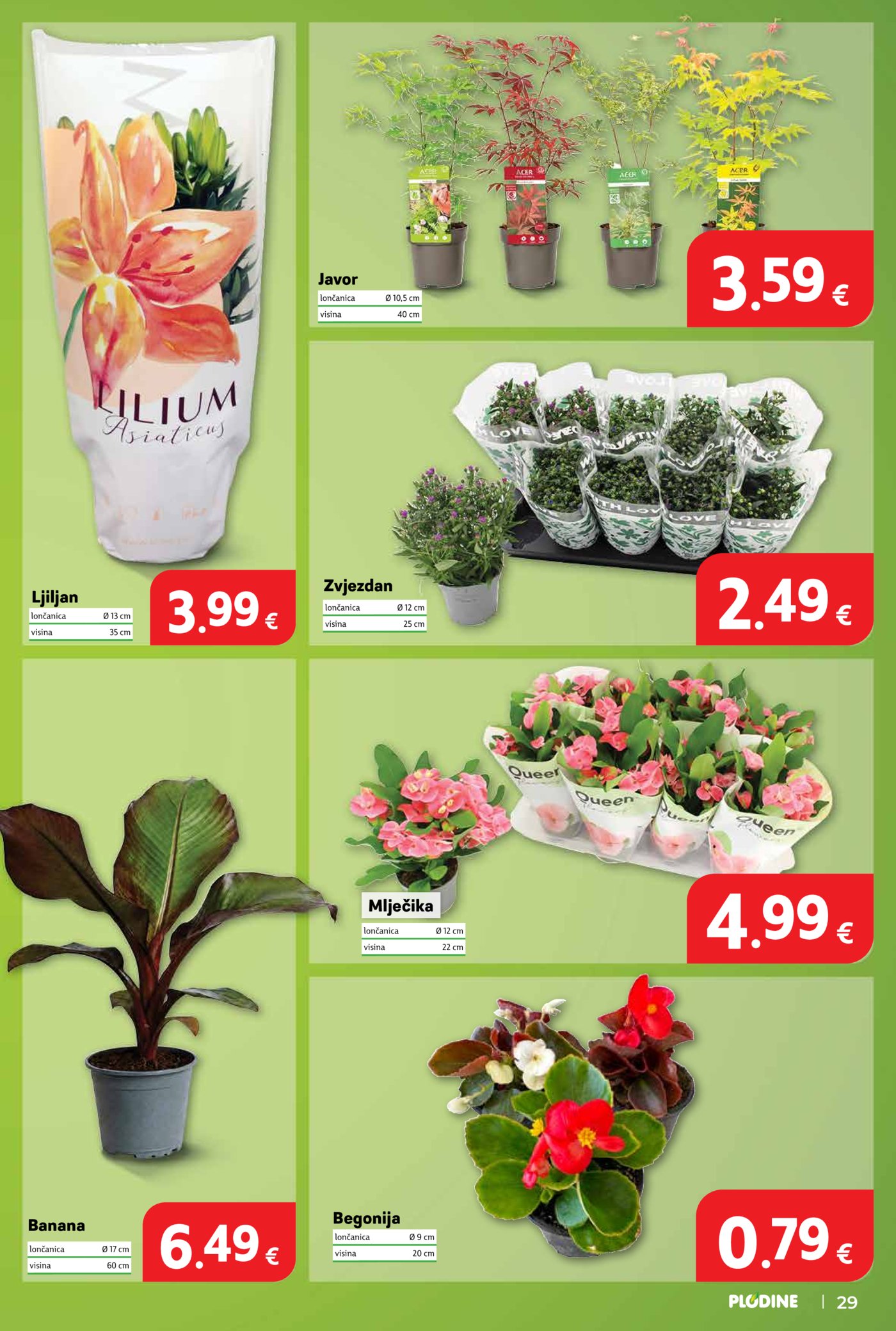 Plodine katalog Akcija 18.06. - 23.06.2026. Knin
