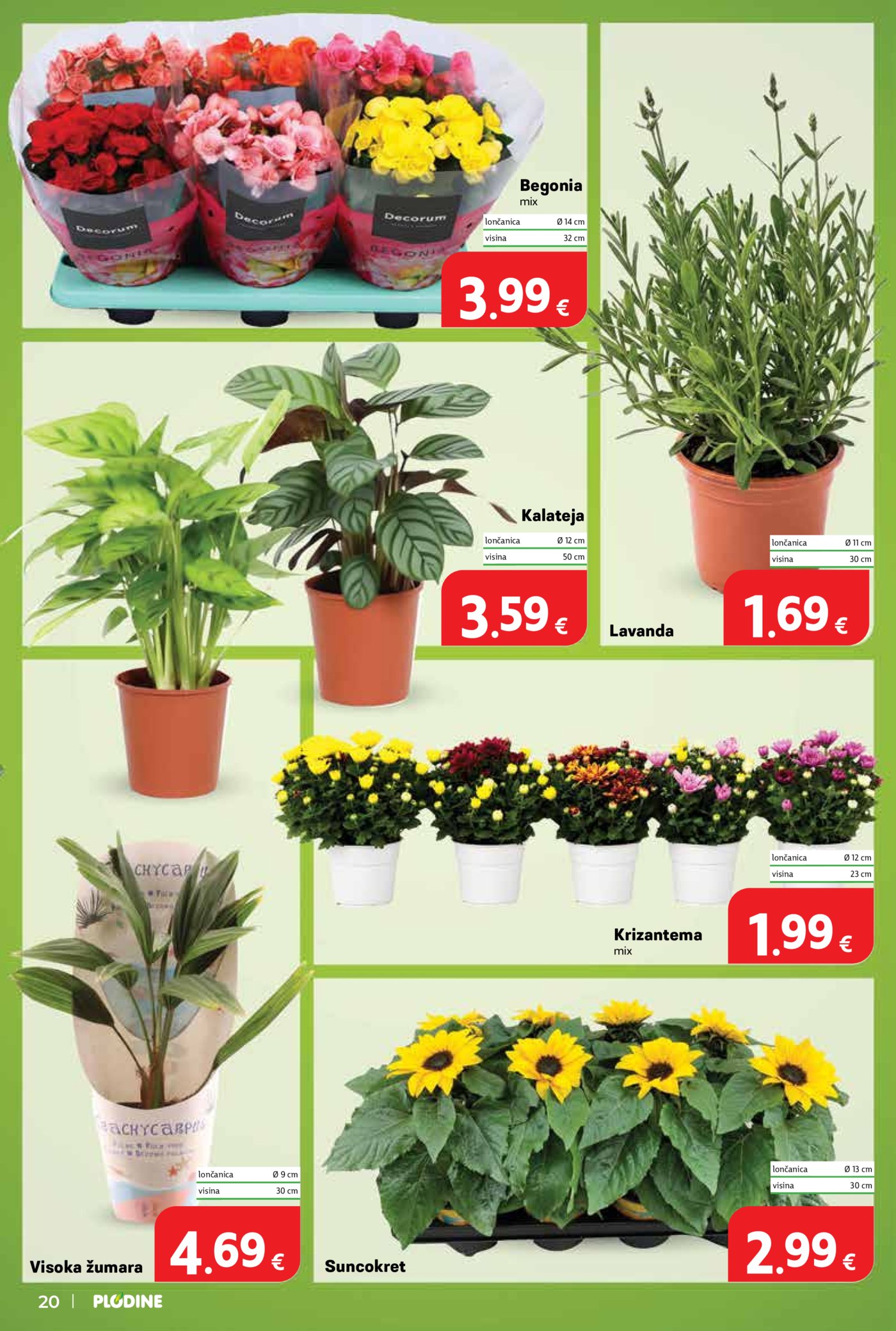 Plodine katalog Akcija 24.06. - 30.06.2026.
