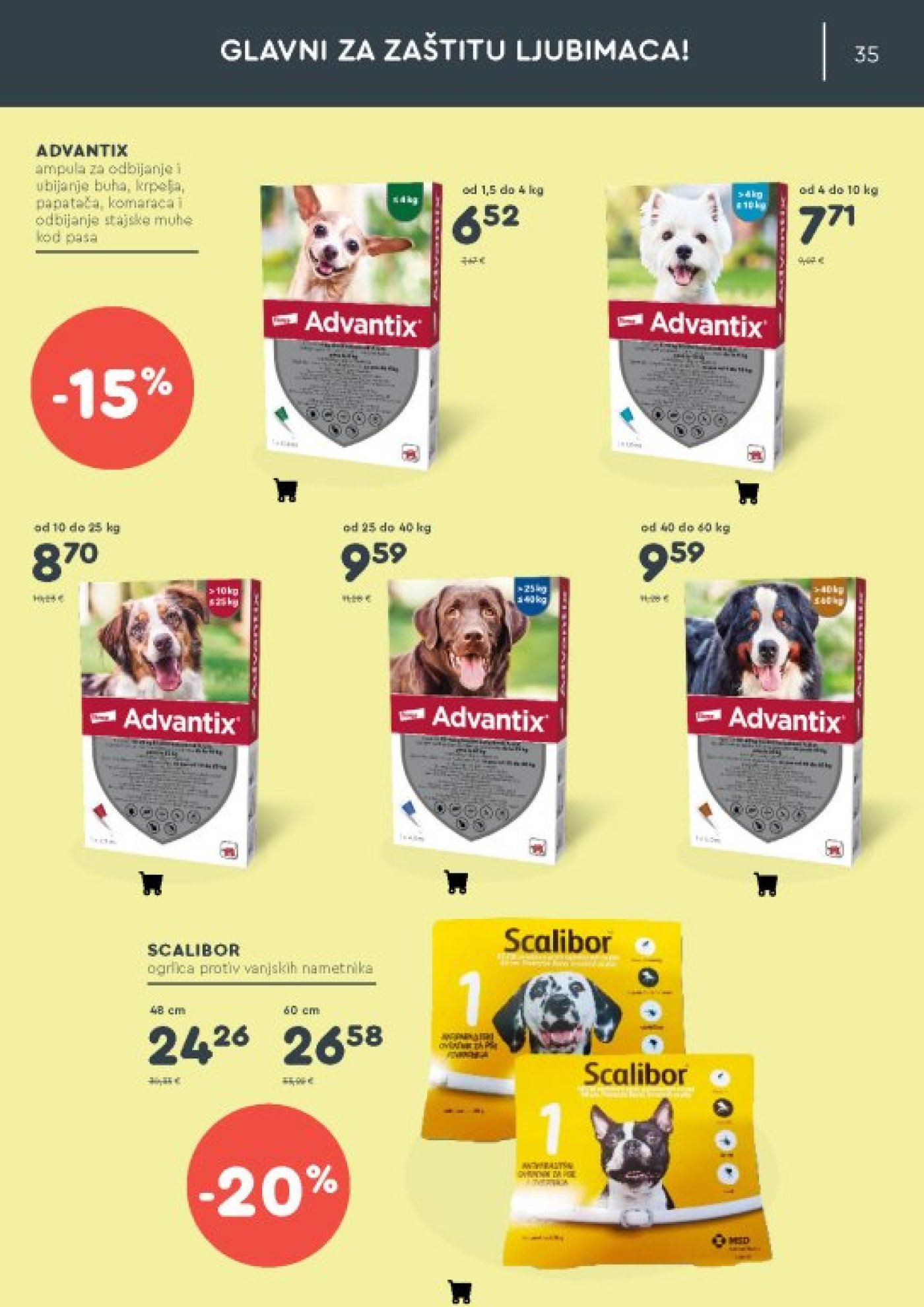 ZOOCITY katalog Lipanj 05.06.-28.06.2026.