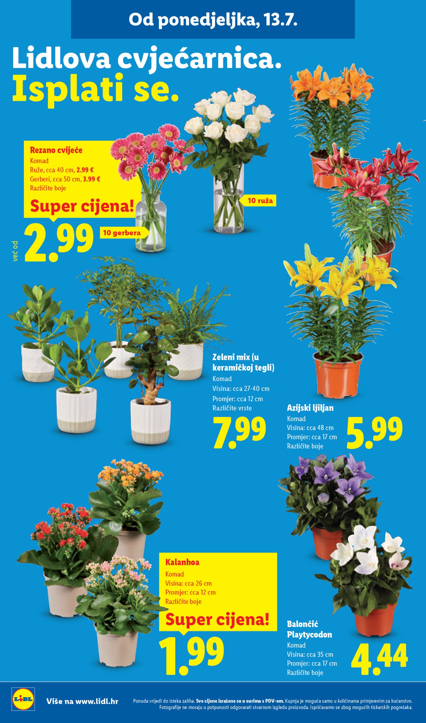 Lidl katalog super ponuda od ponedjeljka 13.07.2026. - 19.07.2026.