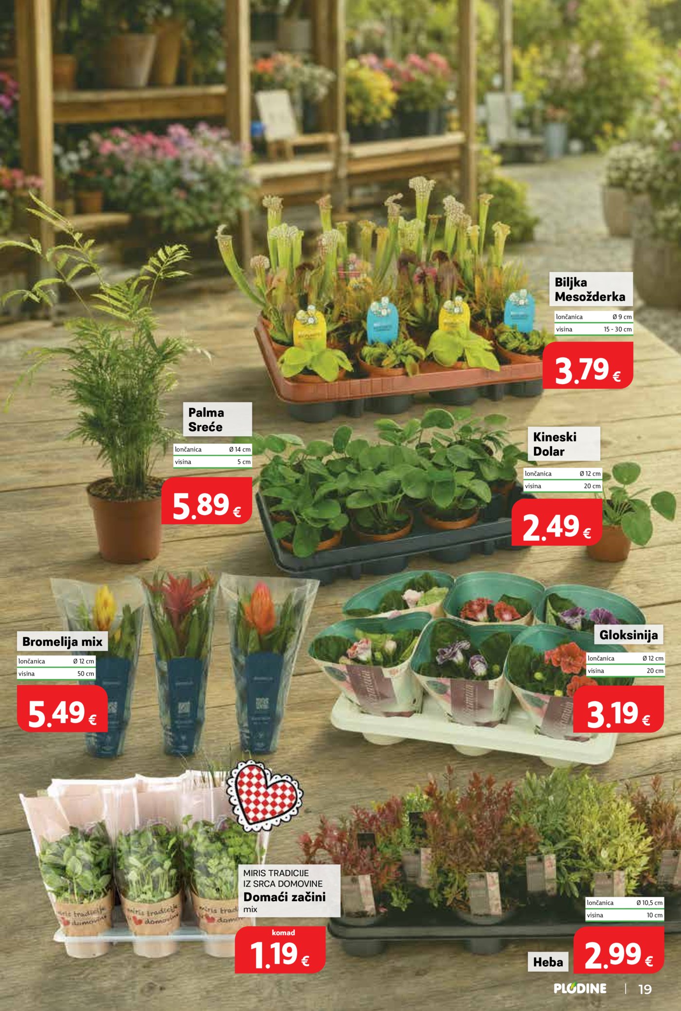 Plodine katalog Akcija 29.07.-04.08.2026.