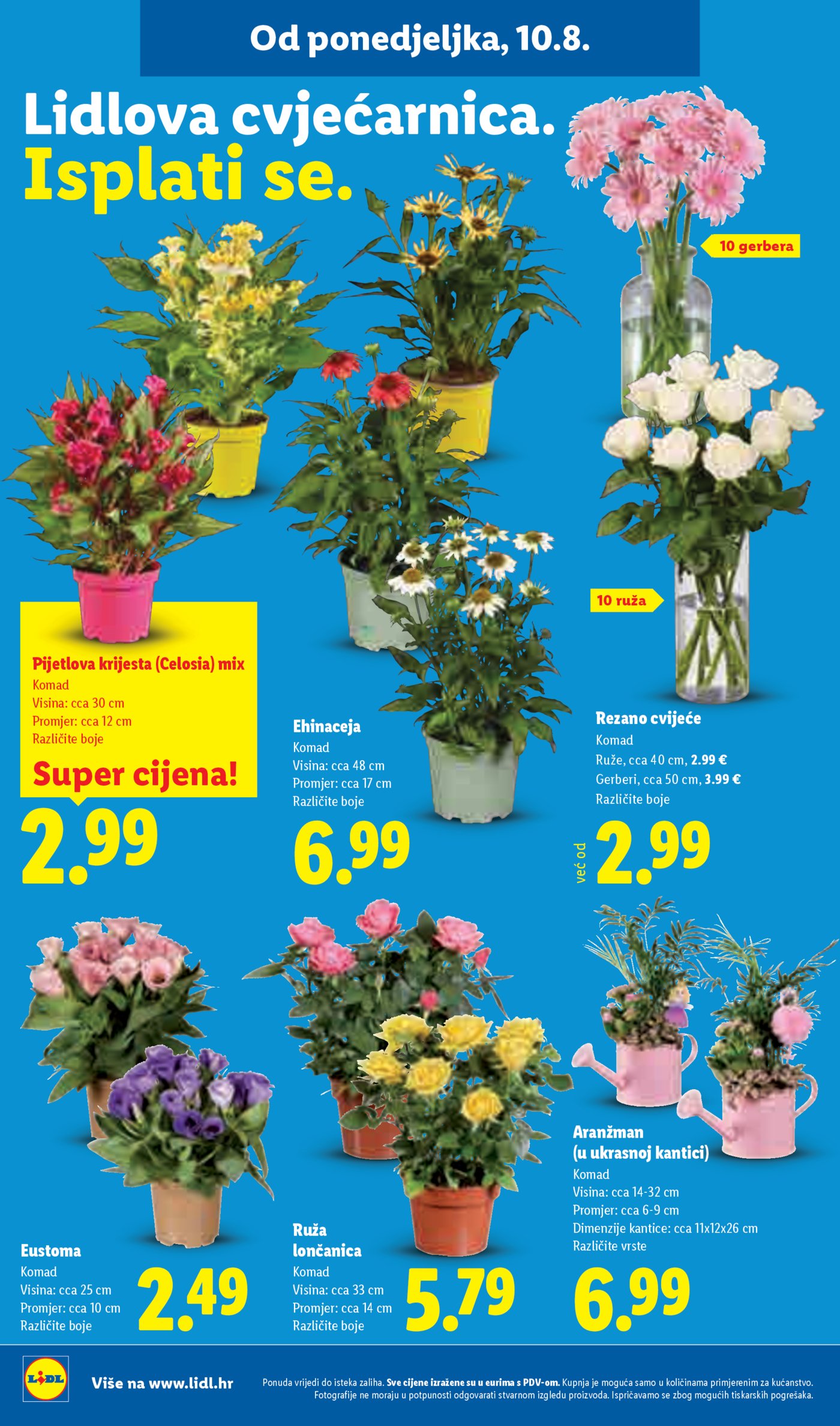 Lidl katalog Super ponuda od ponedjeljka 10.08.-16.08.2026.
