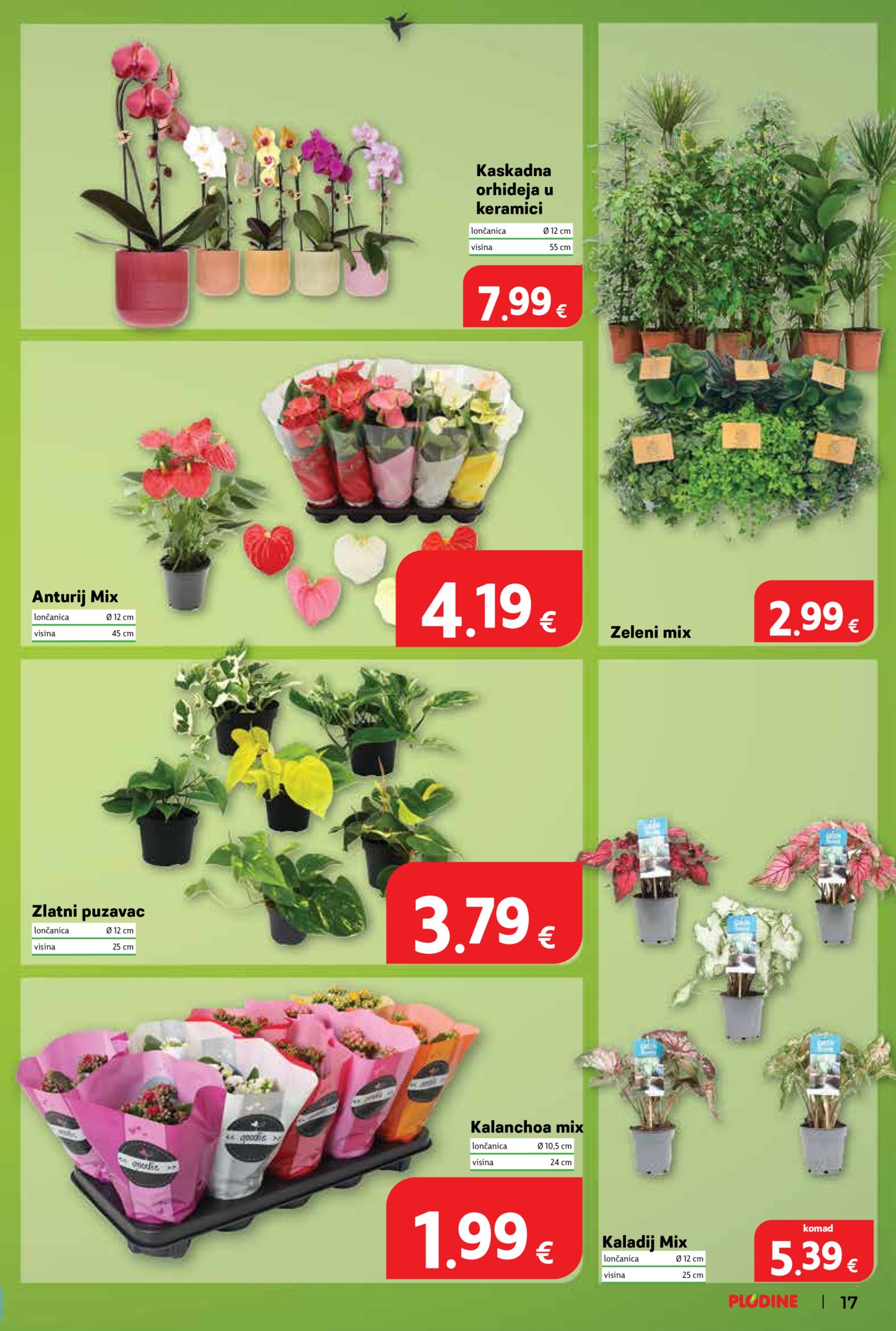 Plodine katalog akcija 06.08.-11.08.2026.