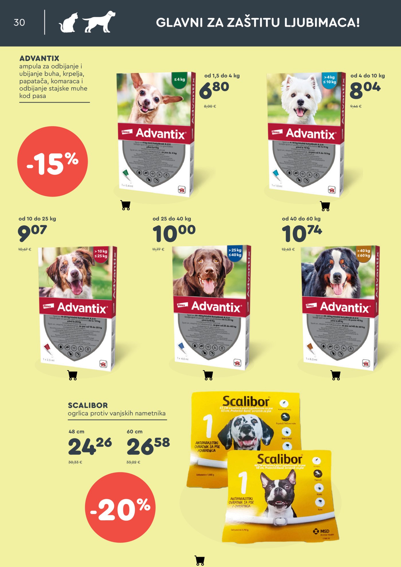 ZOOCITY katalog Kolovoz 06.08.-30.08.2026.