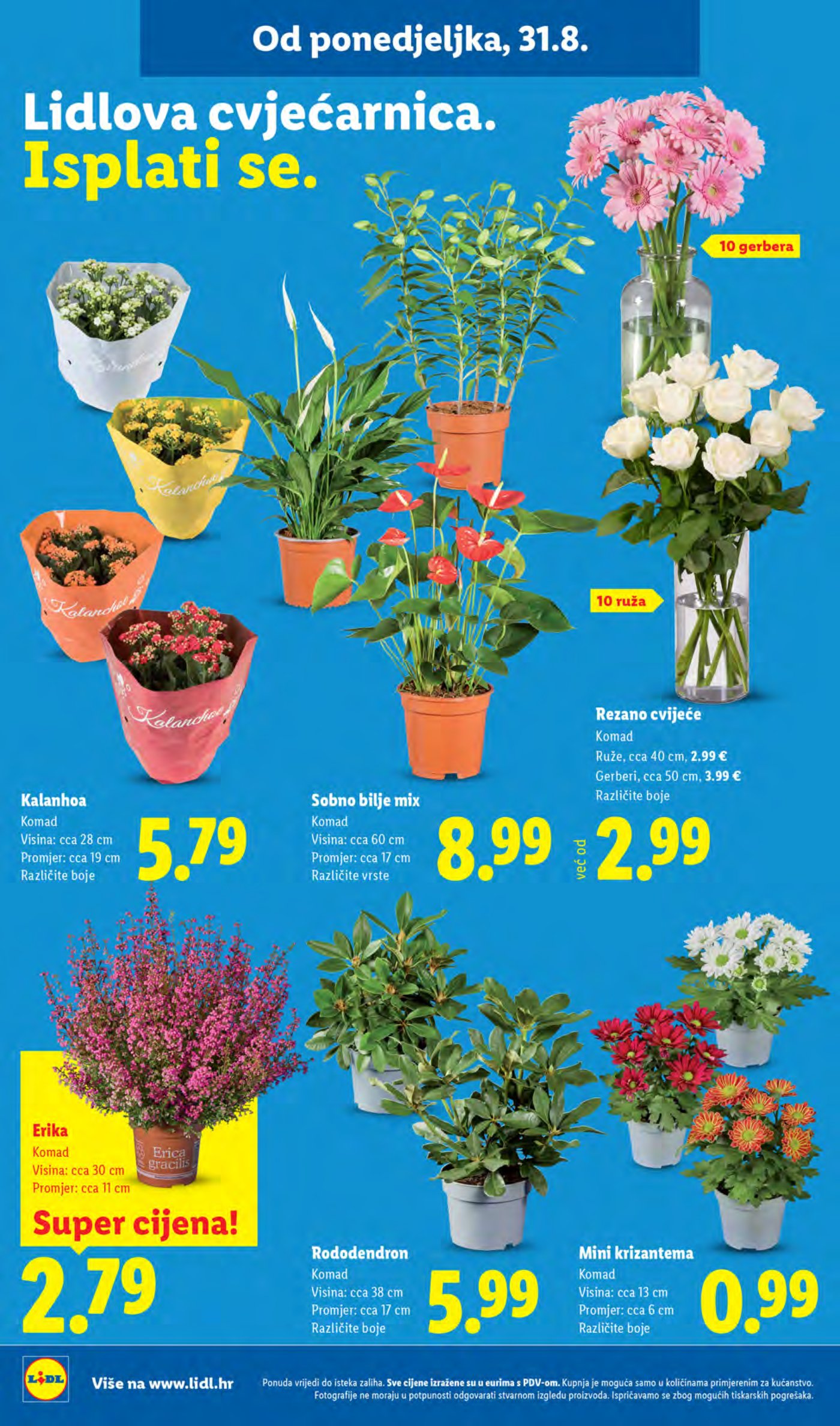 Lidl katalog Super ponuda od ponedjeljka 31.08. - 06.09.026.