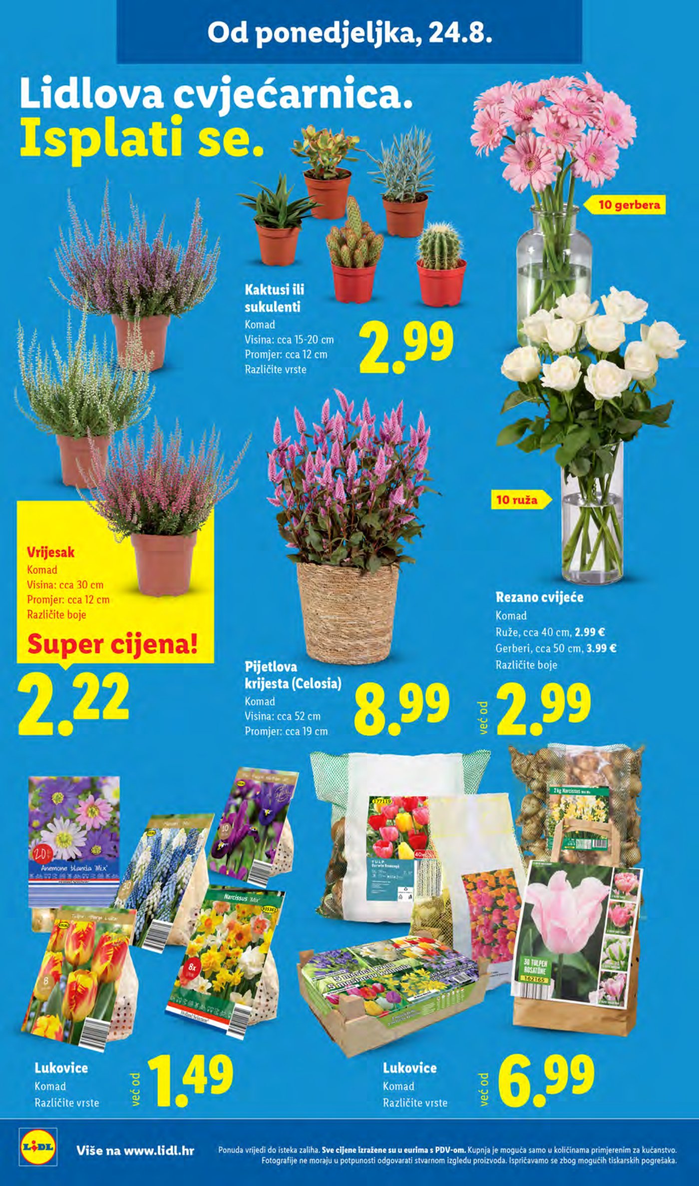 Lidl katalog Super ponuda od ponedjeljka 24.08. - 30.08.026.