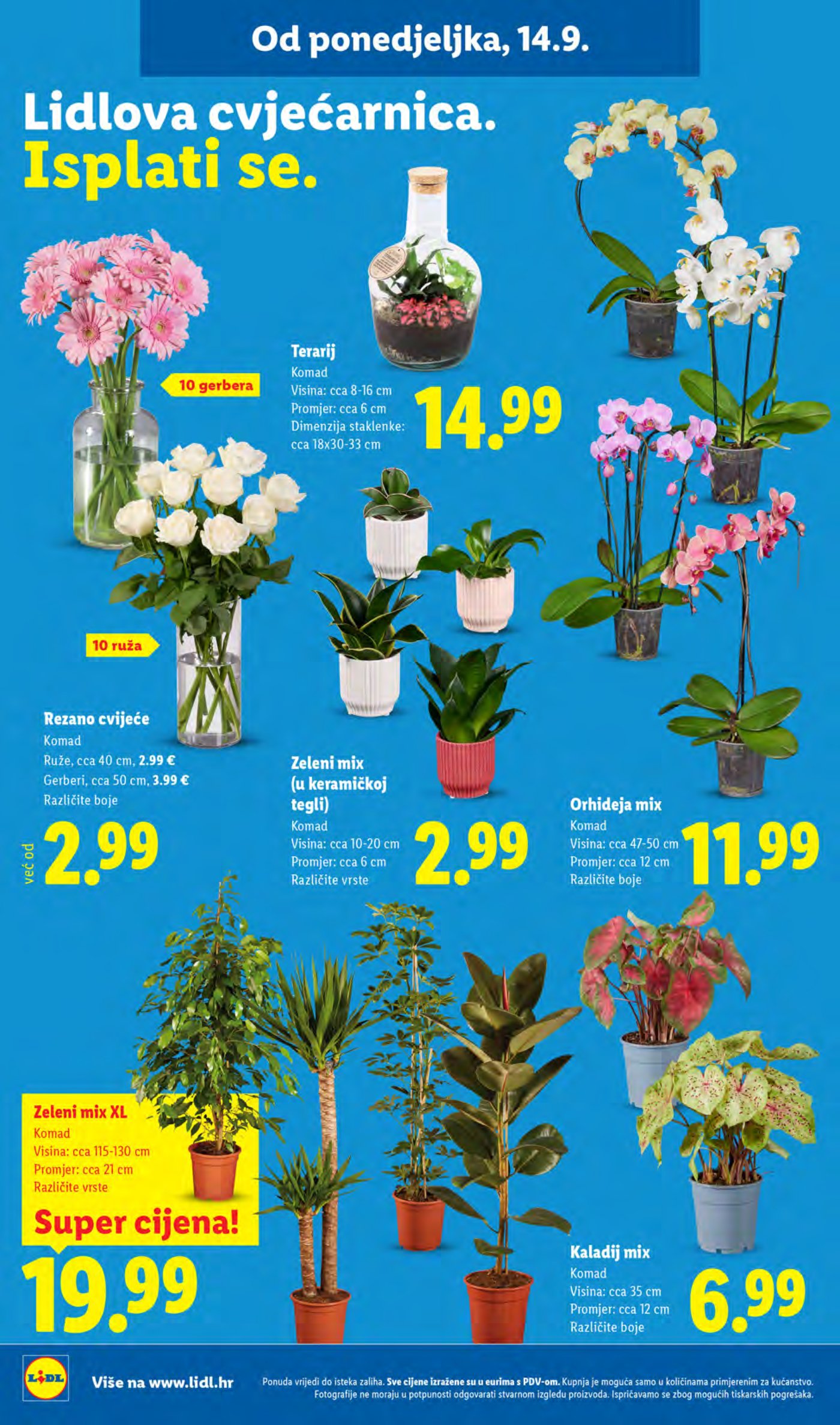 Lidl katalog Super akcija od ponedjeljka 14.09.-20.09.2026.