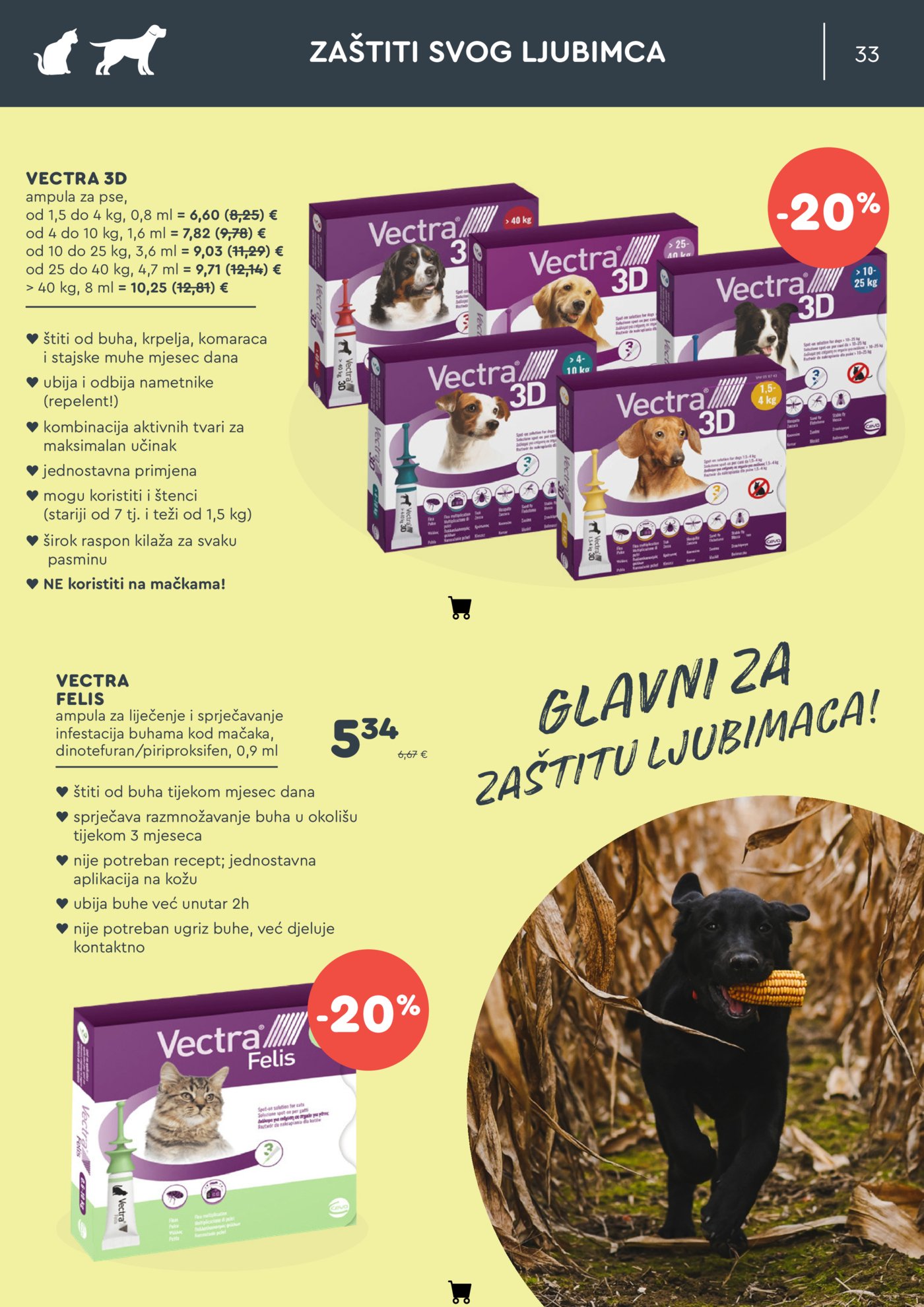 ZOOCITY katalog Rujan 03.09.-27.09.2026