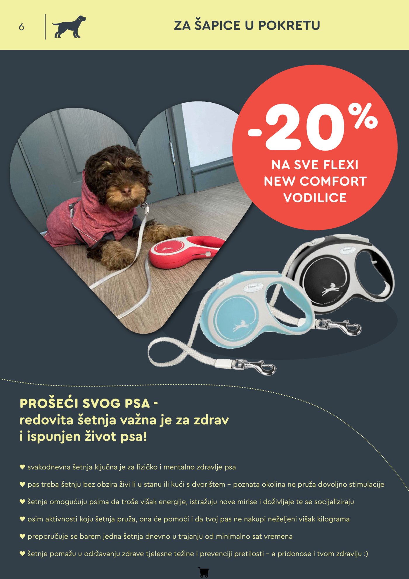 ZOOCITY katalog Rujan 03.09.-27.09.2026.