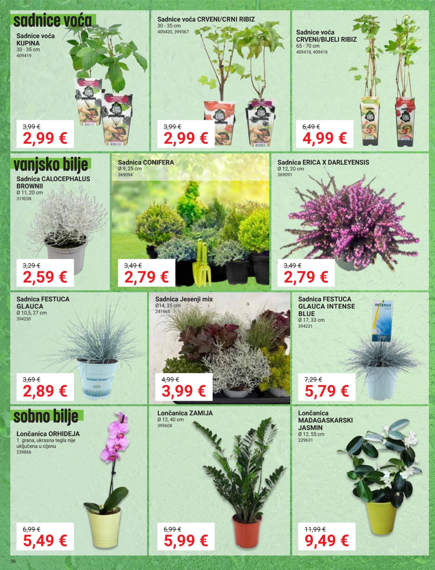Pevex katalog Akcija 24.09. - 28.10.2026.