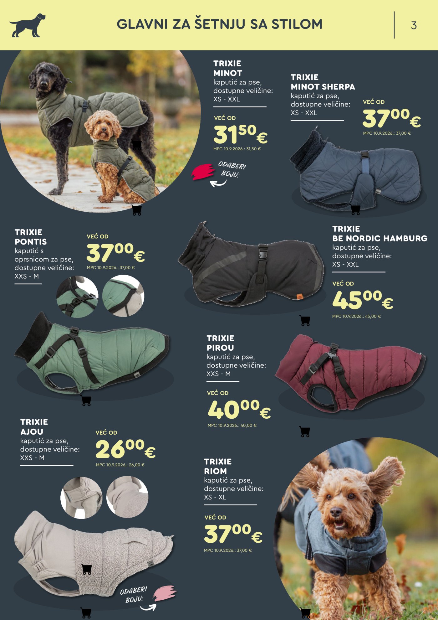 ZOOCITY katalog Listopad 01.10.-30.10.2026.