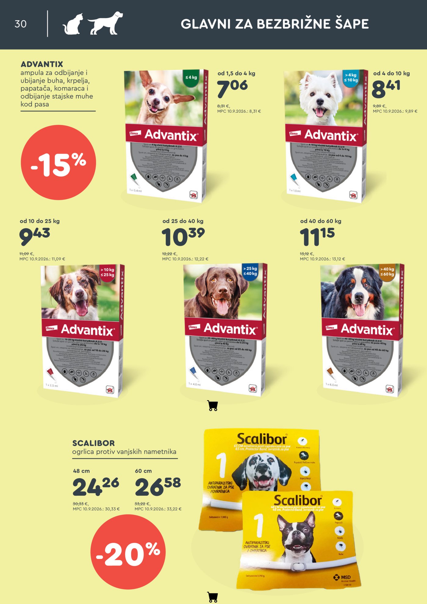 ZOOCITY katalog Listopad 01.10.-30.10.2026.
