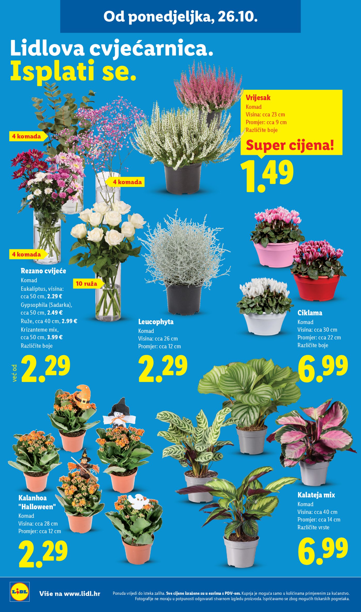 Lidl katalog Super ponuda od ponedjeljka 26.10.-01.11.2026.