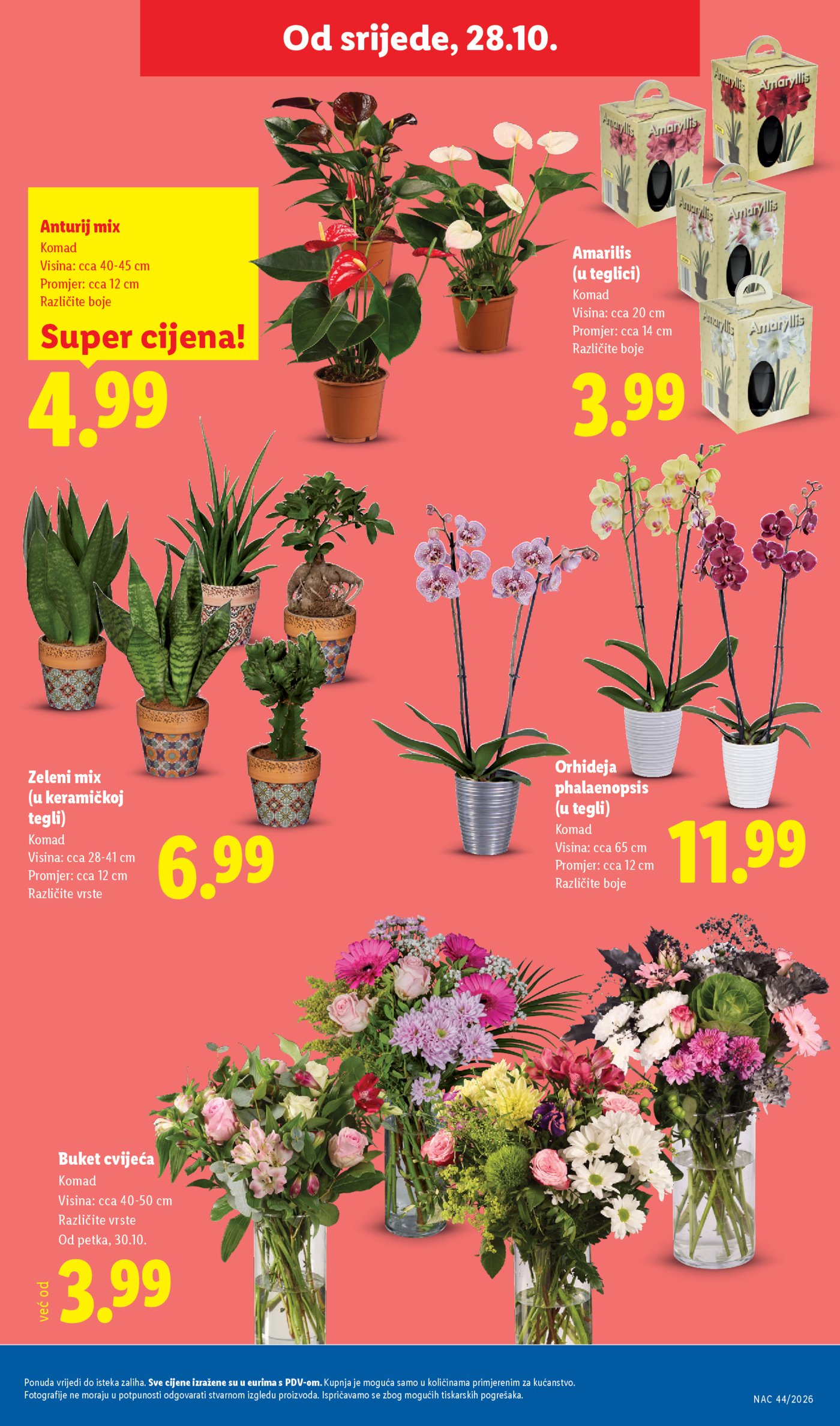 Lidl katalog Super ponuda od ponedjeljka 26.10.-01.11.2026.