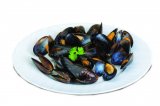 Dagnje svježe 1 kg