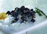 Školjke Vongole 1 kg