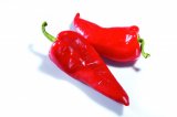 Paprika crvena rog 1kg