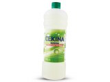 Varikina