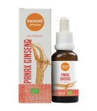 Tinktura panax ginseng