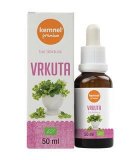 Tinktura vrkuta